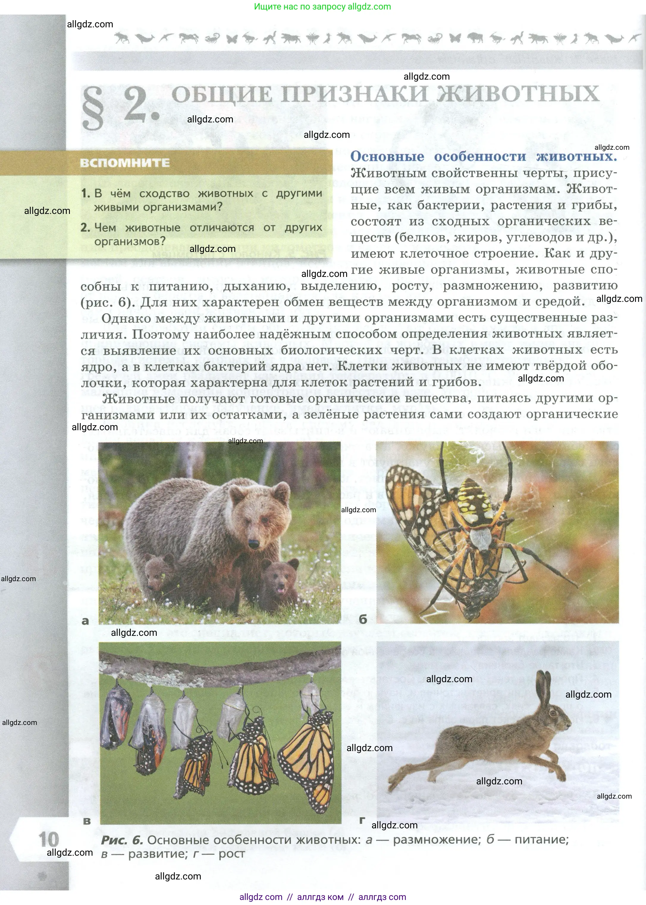 Биология, 8 класс Учебник, авторы: Пасечник Владимир Васильевич, Суматохин Сергей Витальевич, Гапонюк Зоя Георгиевна, издательство Просвещение, Москва, 2023, белого цвета, страница 10