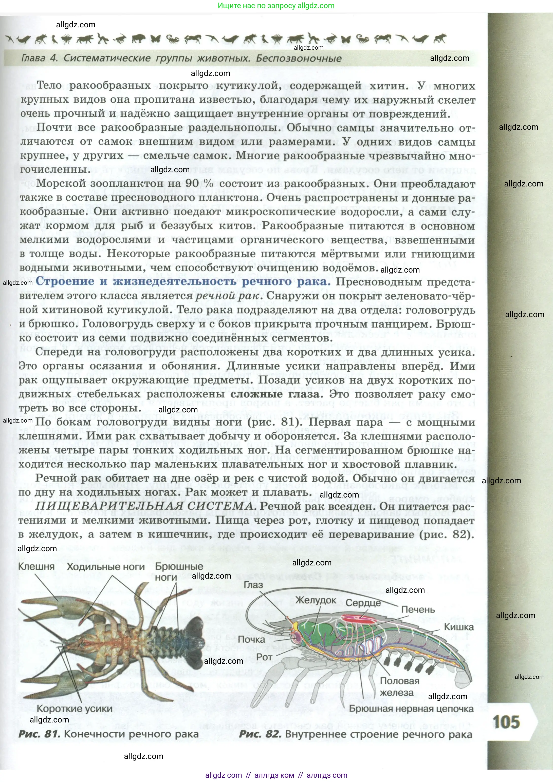 Биология, 8 класс Учебник, авторы: Пасечник Владимир Васильевич, Суматохин Сергей Витальевич, Гапонюк Зоя Георгиевна, издательство Просвещение, Москва, 2023, белого цвета, страница 105