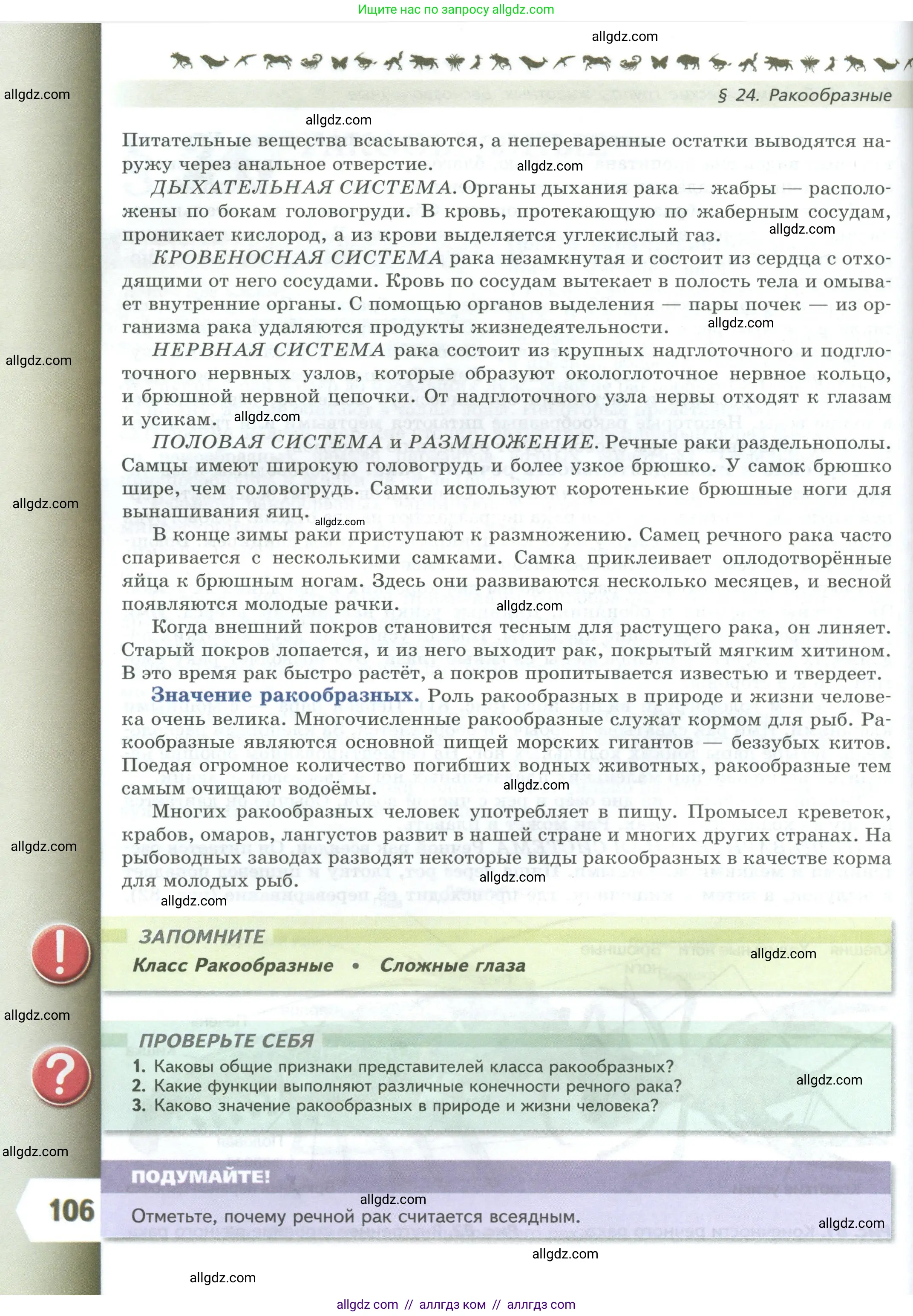 Биология, 8 класс Учебник, авторы: Пасечник Владимир Васильевич, Суматохин Сергей Витальевич, Гапонюк Зоя Георгиевна, издательство Просвещение, Москва, 2023, белого цвета, страница 106
