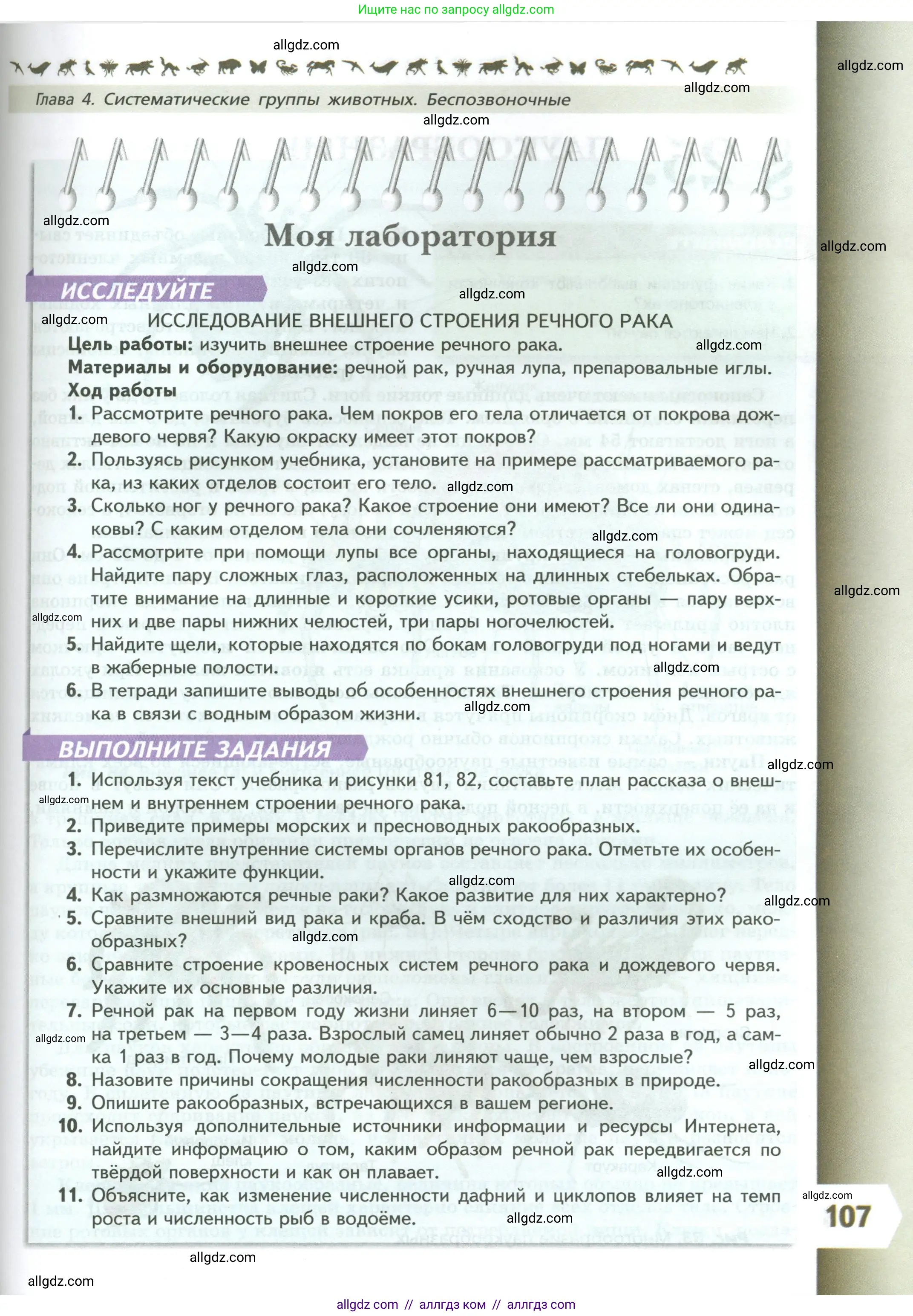 Биология, 8 класс Учебник, авторы: Пасечник Владимир Васильевич, Суматохин Сергей Витальевич, Гапонюк Зоя Георгиевна, издательство Просвещение, Москва, 2023, белого цвета, страница 107