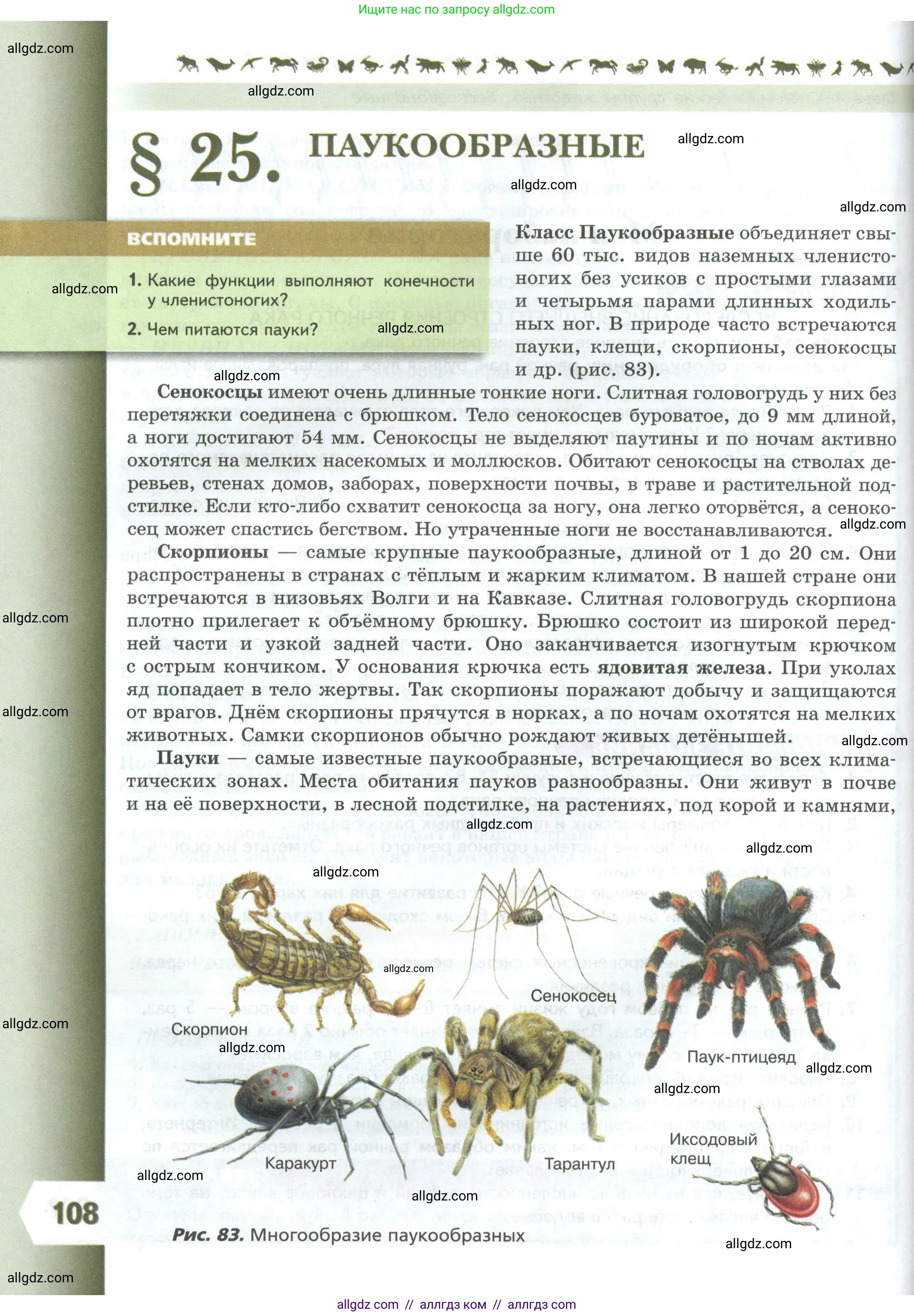 Биология, 8 класс Учебник, авторы: Пасечник Владимир Васильевич, Суматохин Сергей Витальевич, Гапонюк Зоя Георгиевна, издательство Просвещение, Москва, 2023, белого цвета, страница 108