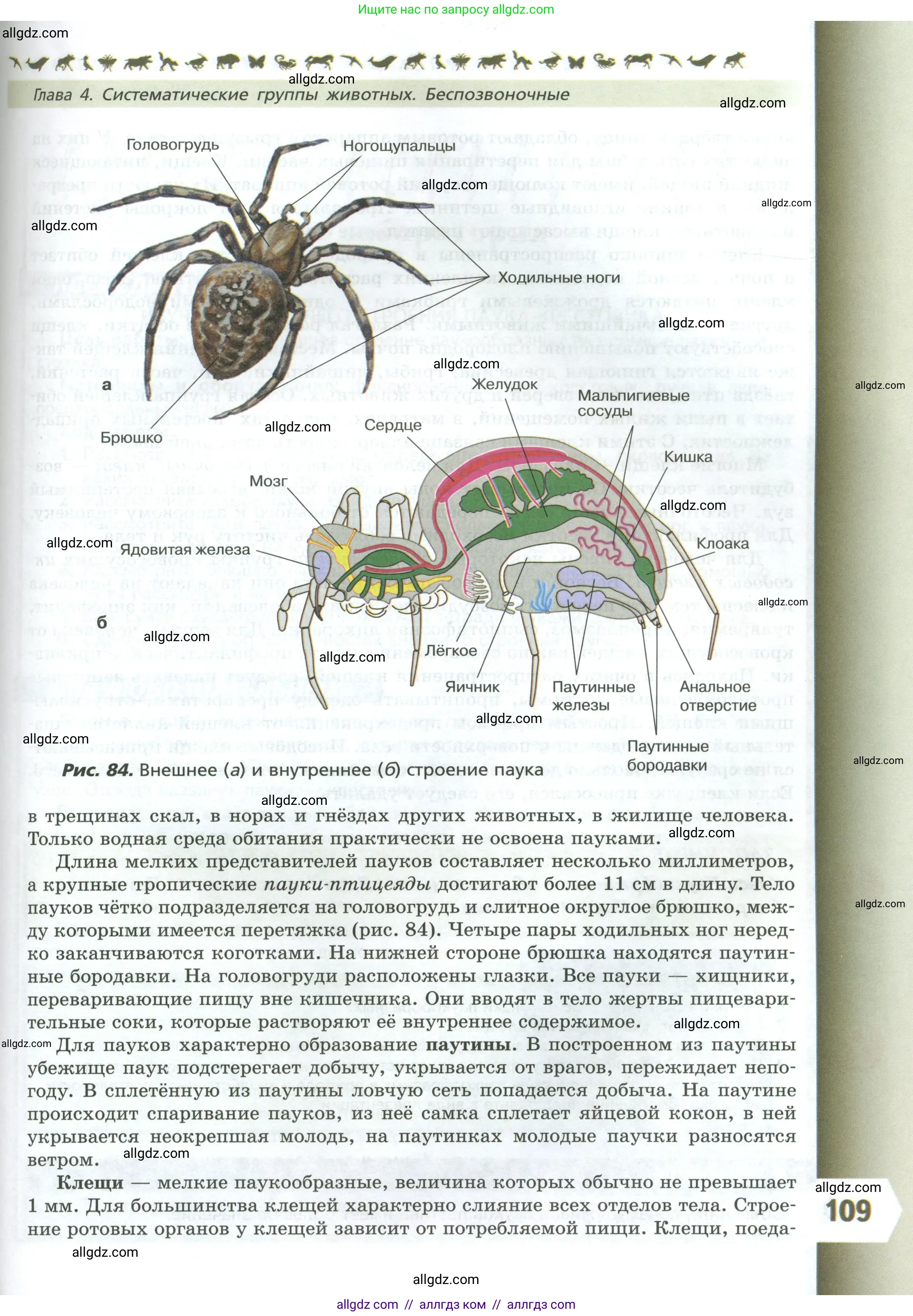 Биология, 8 класс Учебник, авторы: Пасечник Владимир Васильевич, Суматохин Сергей Витальевич, Гапонюк Зоя Георгиевна, издательство Просвещение, Москва, 2023, белого цвета, страница 109