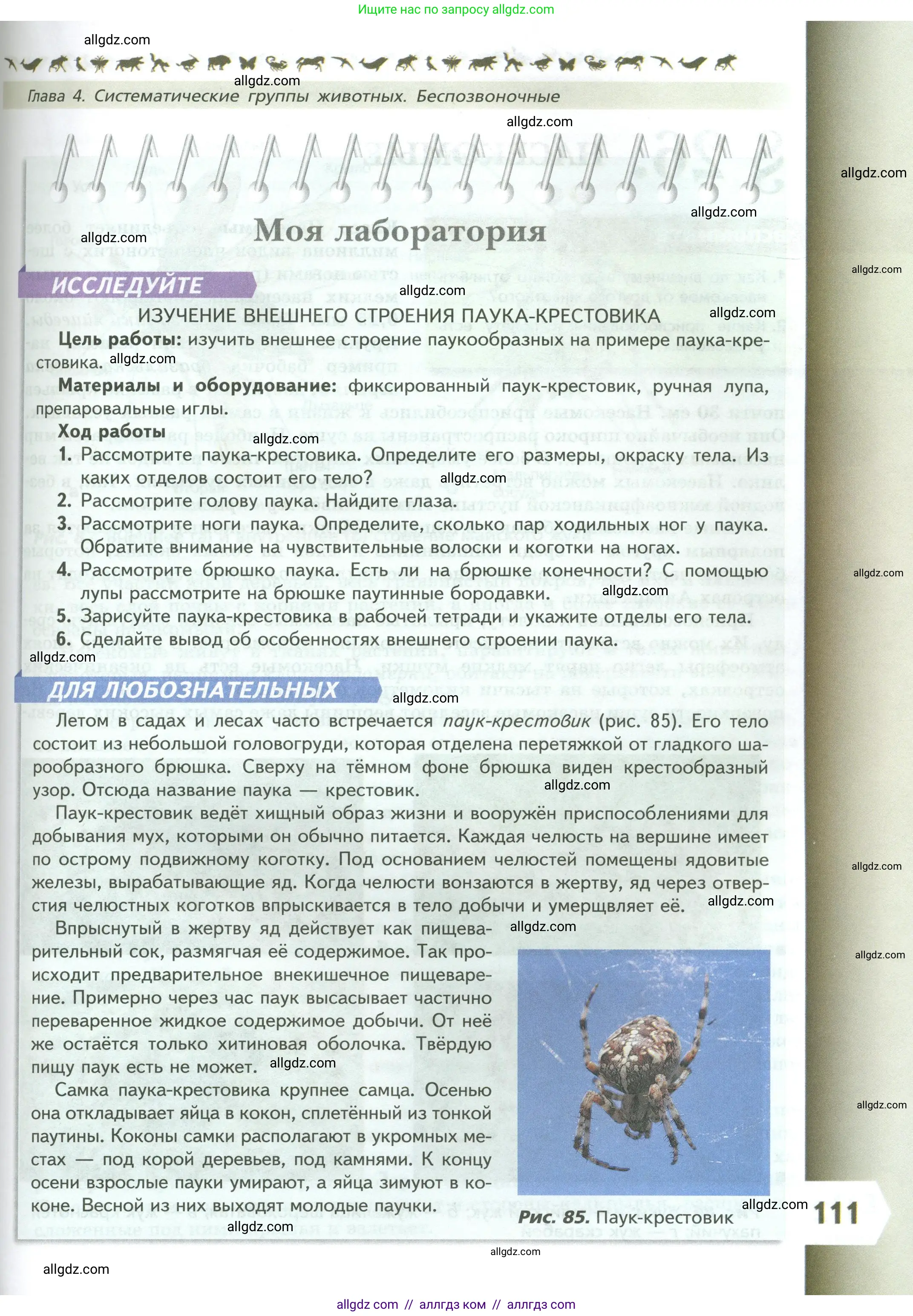 Биология, 8 класс Учебник, авторы: Пасечник Владимир Васильевич, Суматохин Сергей Витальевич, Гапонюк Зоя Георгиевна, издательство Просвещение, Москва, 2023, белого цвета, страница 111