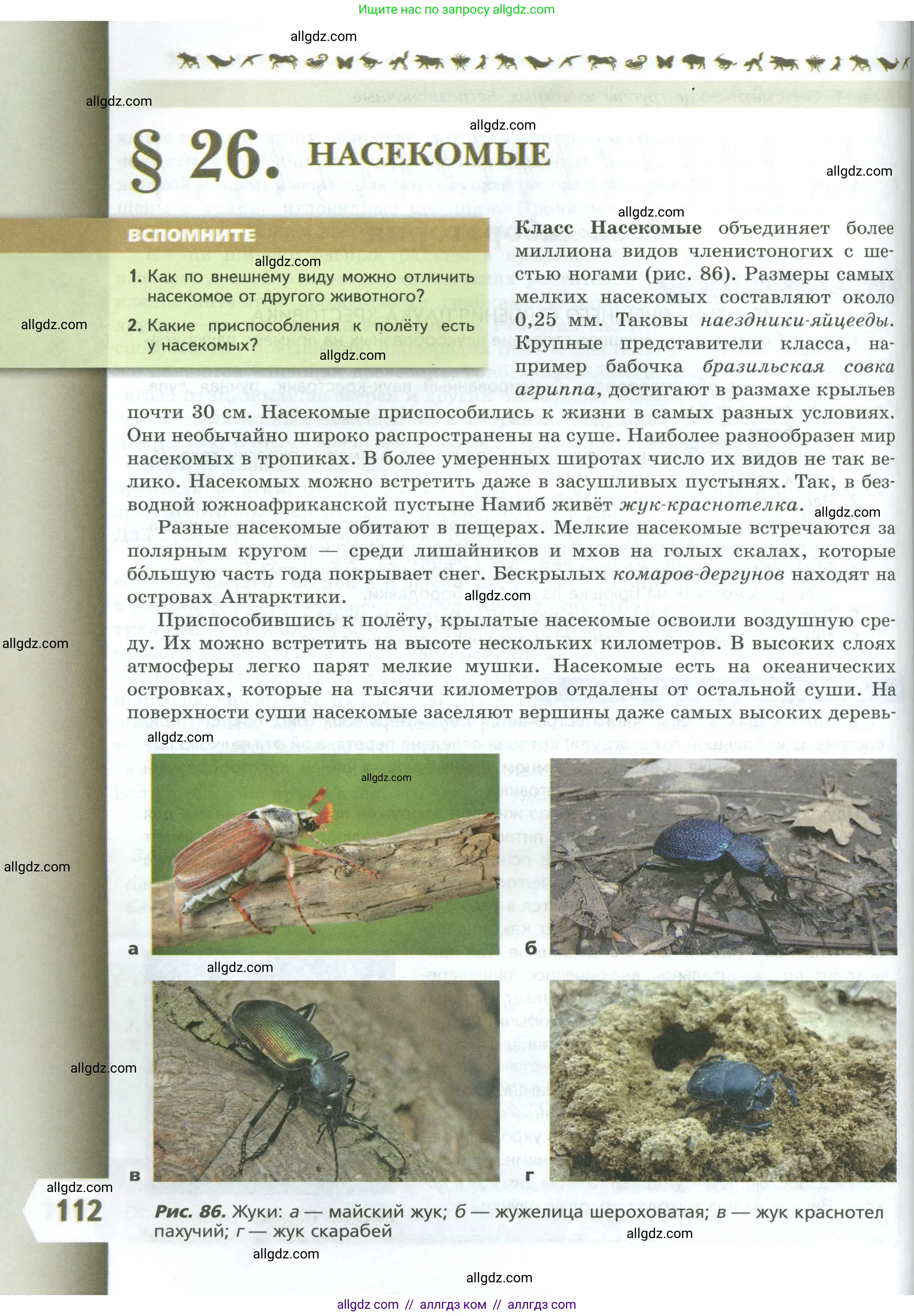 Биология, 8 класс Учебник, авторы: Пасечник Владимир Васильевич, Суматохин Сергей Витальевич, Гапонюк Зоя Георгиевна, издательство Просвещение, Москва, 2023, белого цвета, страница 112