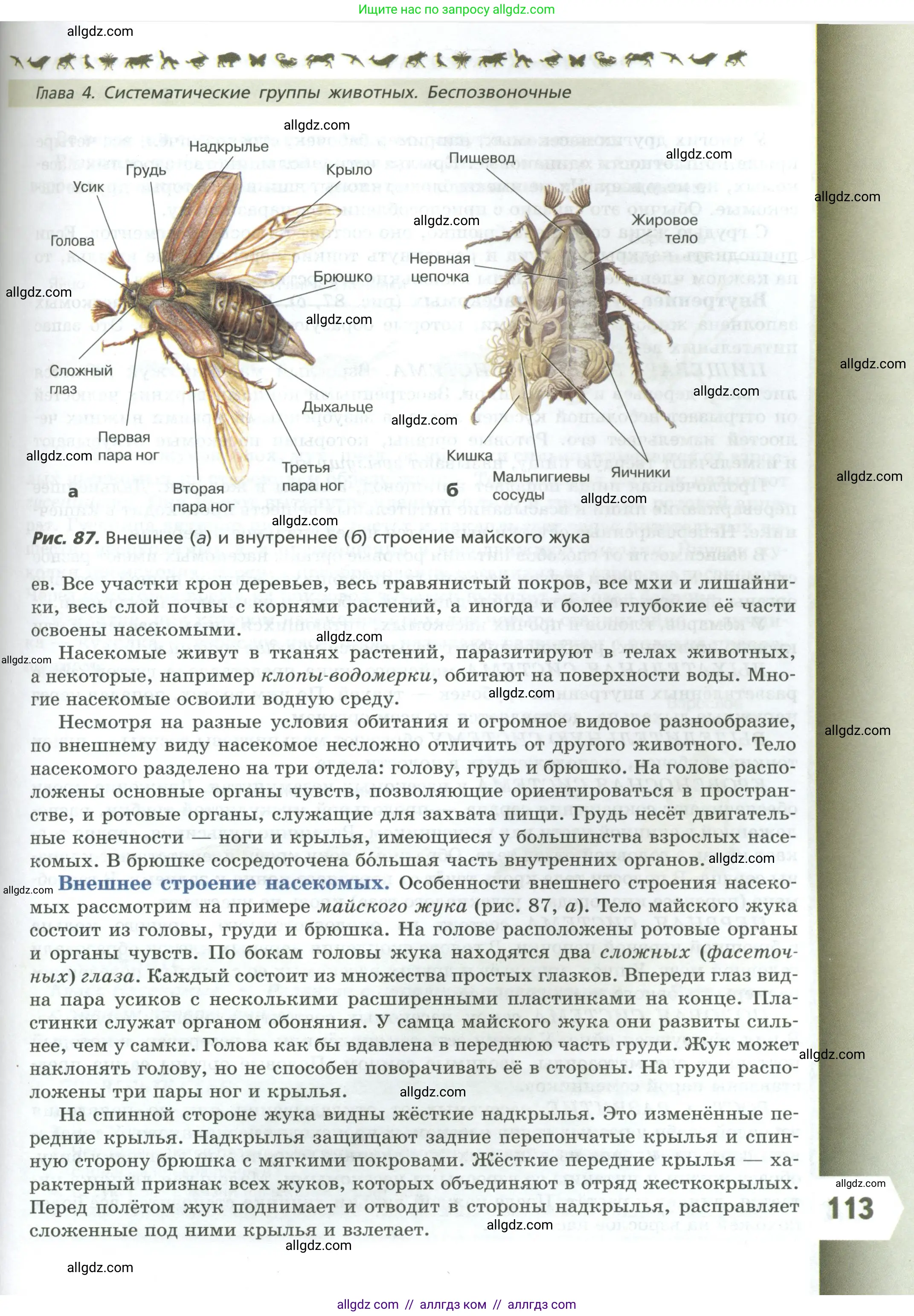 Биология, 8 класс Учебник, авторы: Пасечник Владимир Васильевич, Суматохин Сергей Витальевич, Гапонюк Зоя Георгиевна, издательство Просвещение, Москва, 2023, белого цвета, страница 113