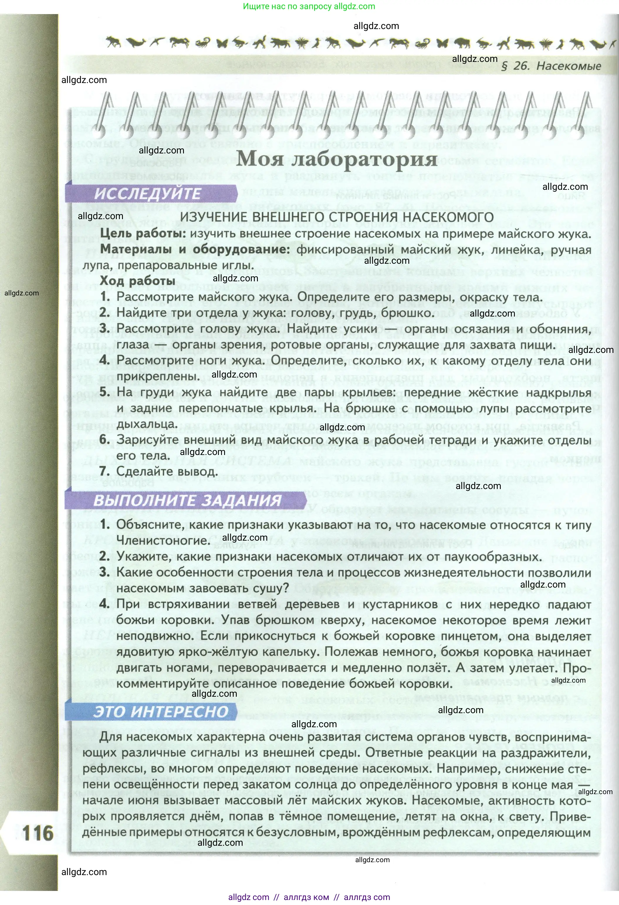 Биология, 8 класс Учебник, авторы: Пасечник Владимир Васильевич, Суматохин Сергей Витальевич, Гапонюк Зоя Георгиевна, издательство Просвещение, Москва, 2023, белого цвета, страница 116