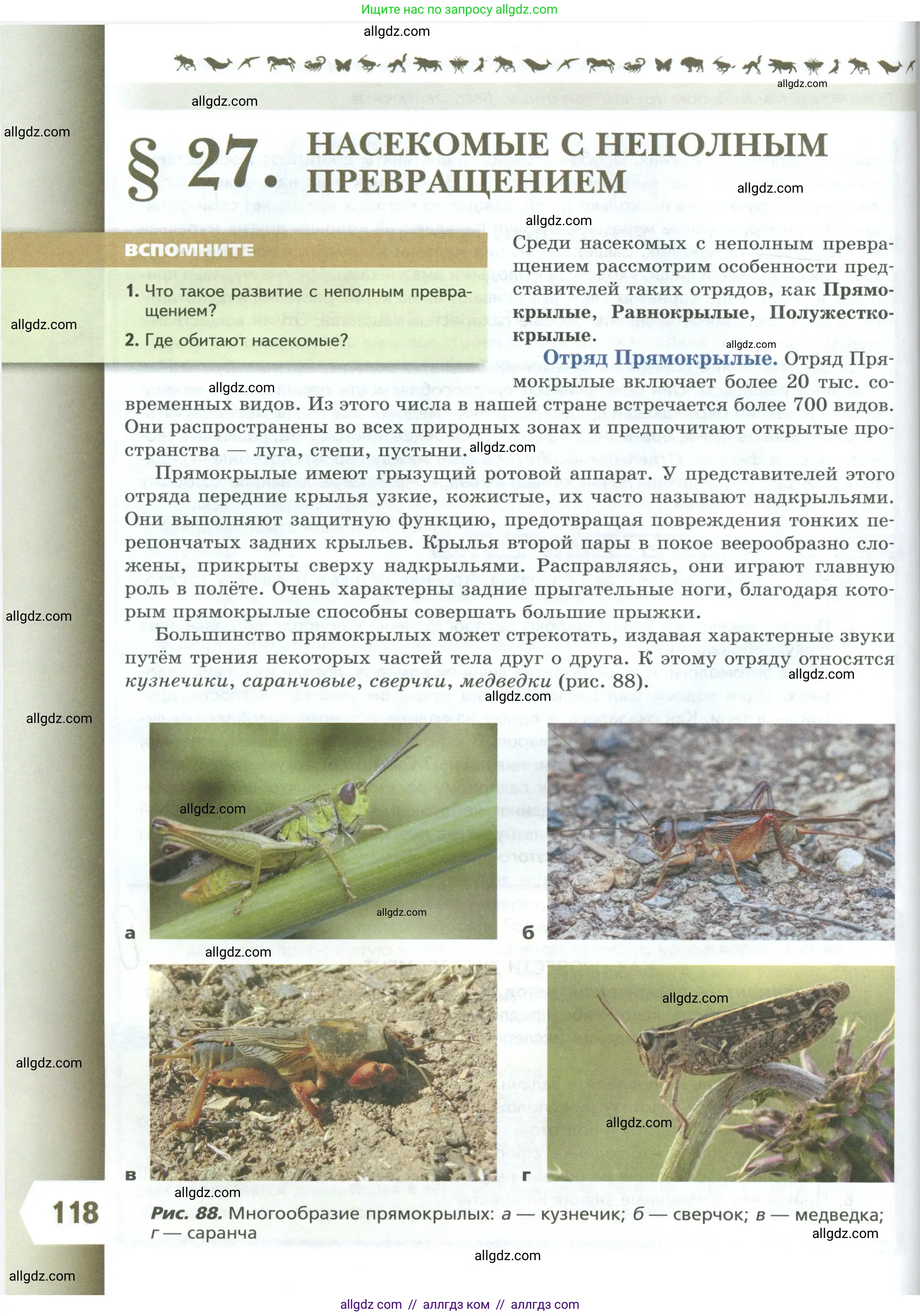 Биология, 8 класс Учебник, авторы: Пасечник Владимир Васильевич, Суматохин Сергей Витальевич, Гапонюк Зоя Георгиевна, издательство Просвещение, Москва, 2023, белого цвета, страница 118