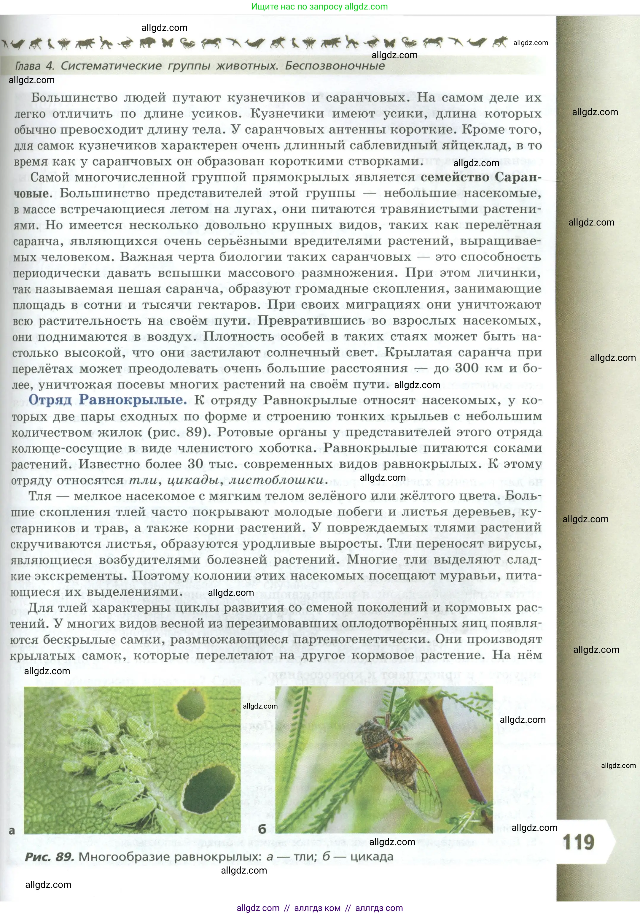 Биология, 8 класс Учебник, авторы: Пасечник Владимир Васильевич, Суматохин Сергей Витальевич, Гапонюк Зоя Георгиевна, издательство Просвещение, Москва, 2023, белого цвета, страница 119