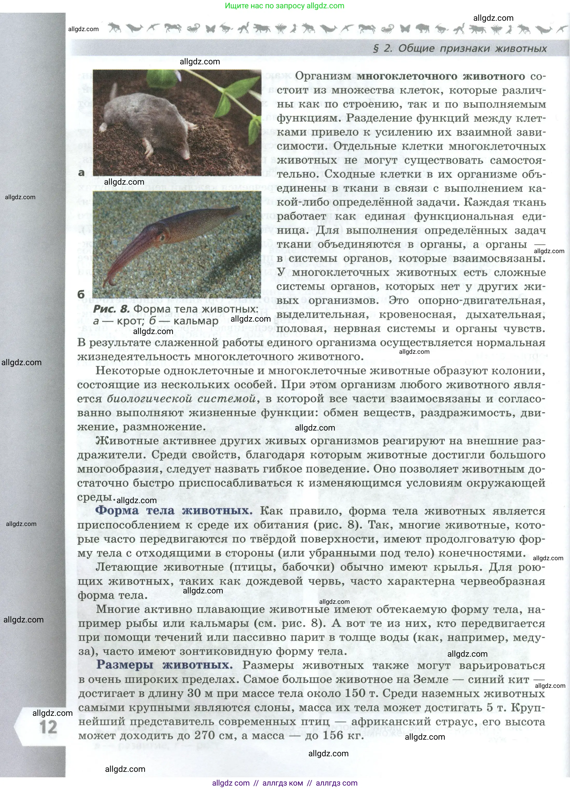 Биология, 8 класс Учебник, авторы: Пасечник Владимир Васильевич, Суматохин Сергей Витальевич, Гапонюк Зоя Георгиевна, издательство Просвещение, Москва, 2023, белого цвета, страница 12