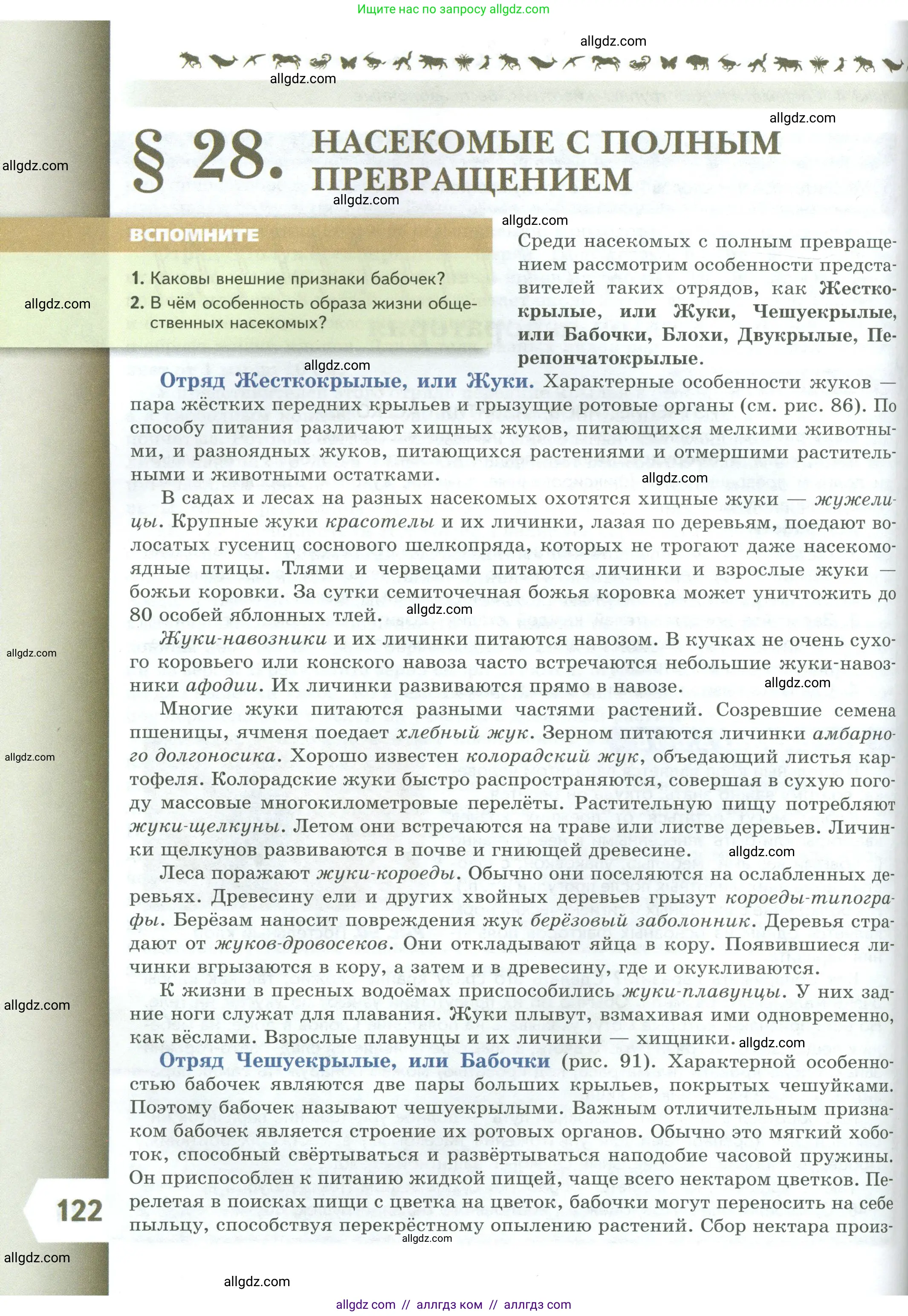 Биология, 8 класс Учебник, авторы: Пасечник Владимир Васильевич, Суматохин Сергей Витальевич, Гапонюк Зоя Георгиевна, издательство Просвещение, Москва, 2023, белого цвета, страница 122