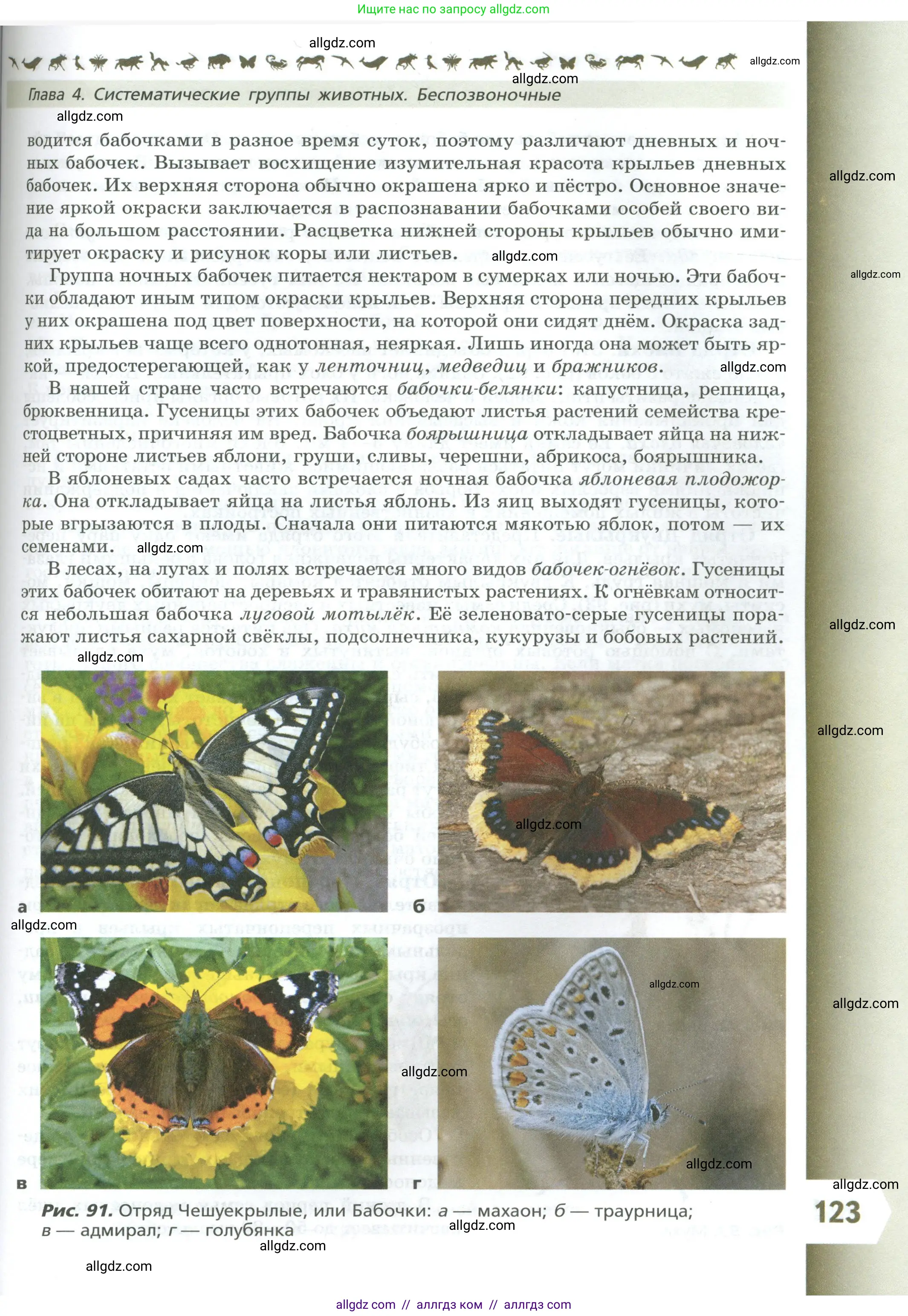 Биология, 8 класс Учебник, авторы: Пасечник Владимир Васильевич, Суматохин Сергей Витальевич, Гапонюк Зоя Георгиевна, издательство Просвещение, Москва, 2023, белого цвета, страница 123