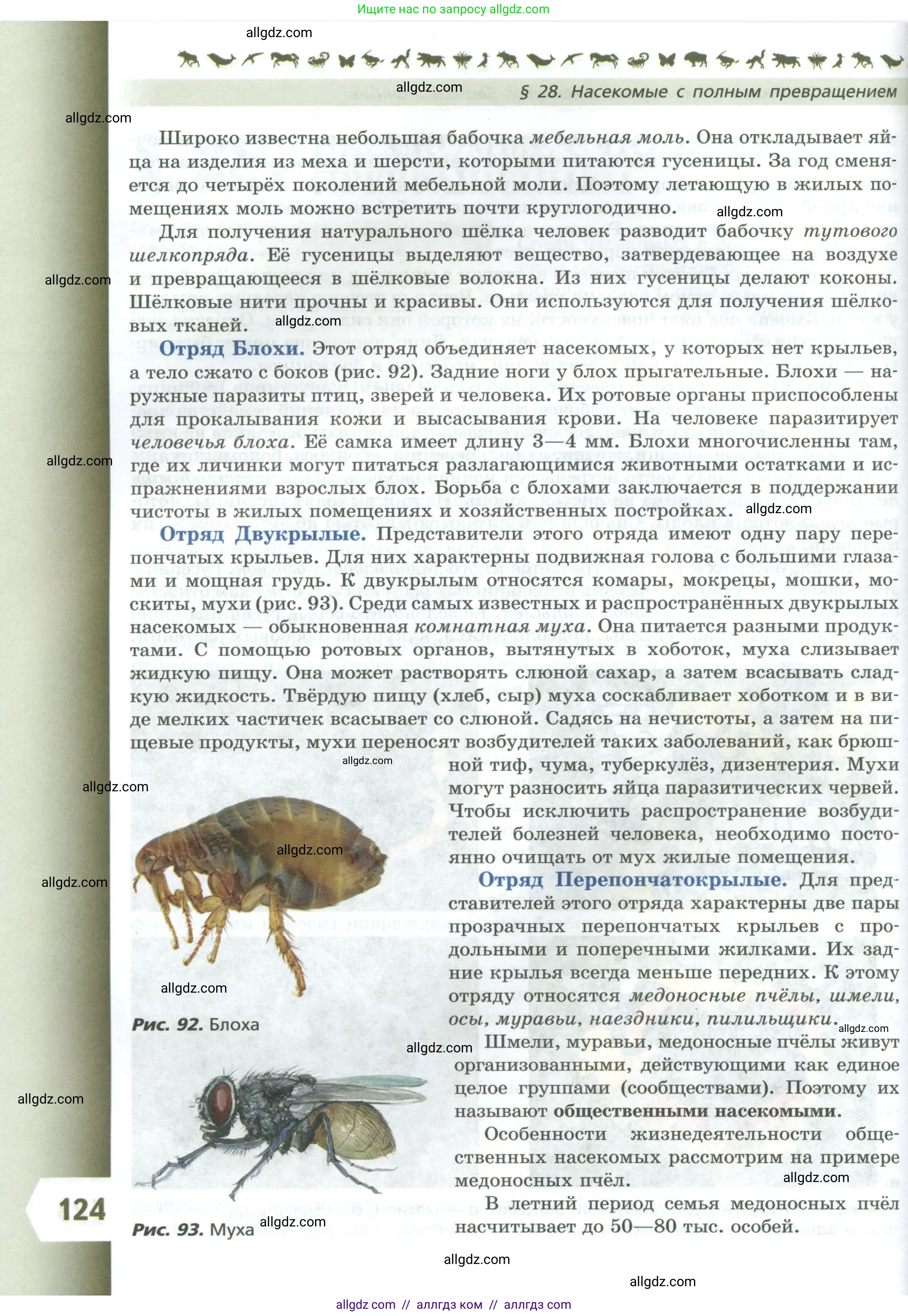 Биология, 8 класс Учебник, авторы: Пасечник Владимир Васильевич, Суматохин Сергей Витальевич, Гапонюк Зоя Георгиевна, издательство Просвещение, Москва, 2023, белого цвета, страница 124