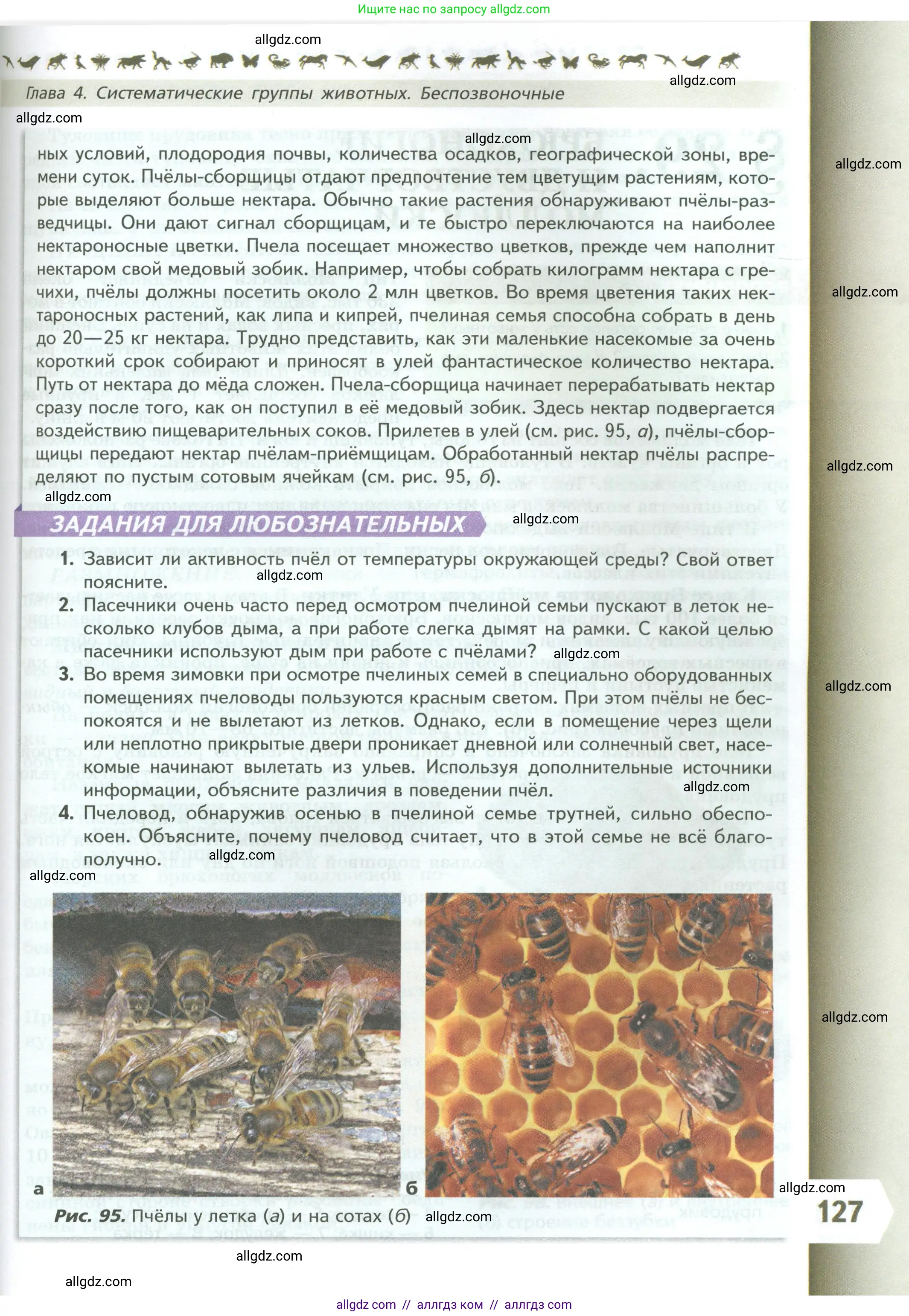 Биология, 8 класс Учебник, авторы: Пасечник Владимир Васильевич, Суматохин Сергей Витальевич, Гапонюк Зоя Георгиевна, издательство Просвещение, Москва, 2023, белого цвета, страница 127