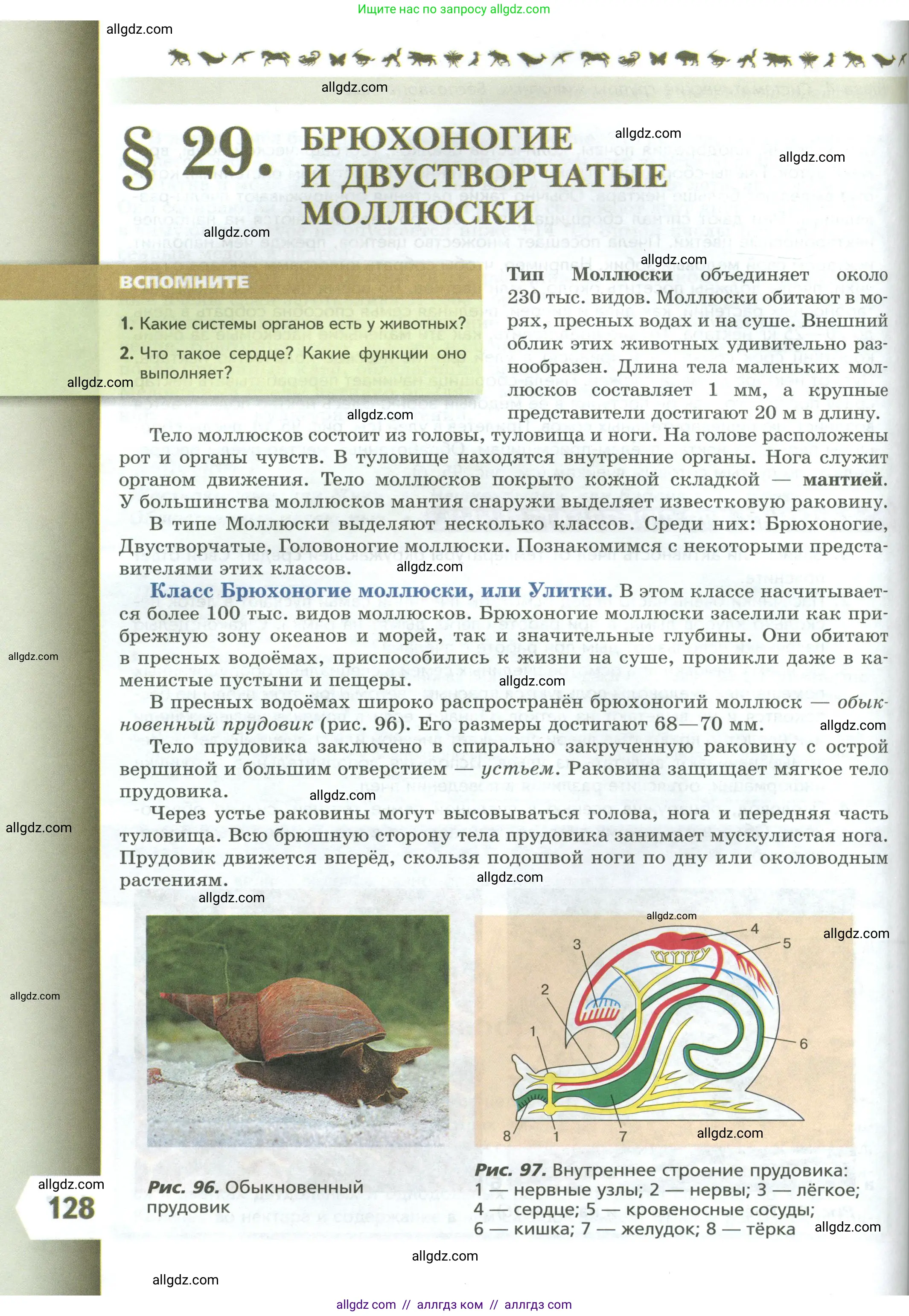 Биология, 8 класс Учебник, авторы: Пасечник Владимир Васильевич, Суматохин Сергей Витальевич, Гапонюк Зоя Георгиевна, издательство Просвещение, Москва, 2023, белого цвета, страница 128