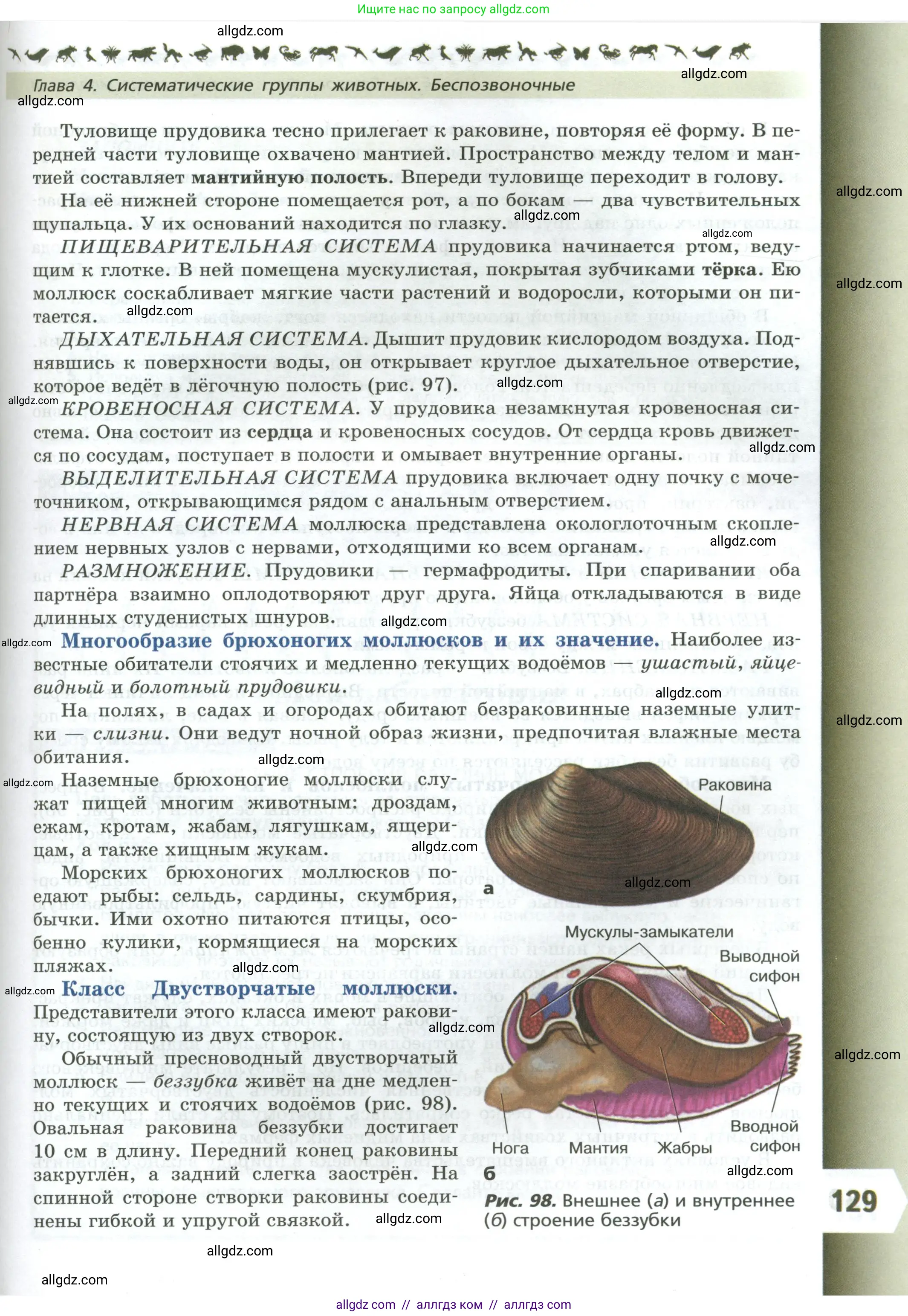 Биология, 8 класс Учебник, авторы: Пасечник Владимир Васильевич, Суматохин Сергей Витальевич, Гапонюк Зоя Георгиевна, издательство Просвещение, Москва, 2023, белого цвета, страница 129