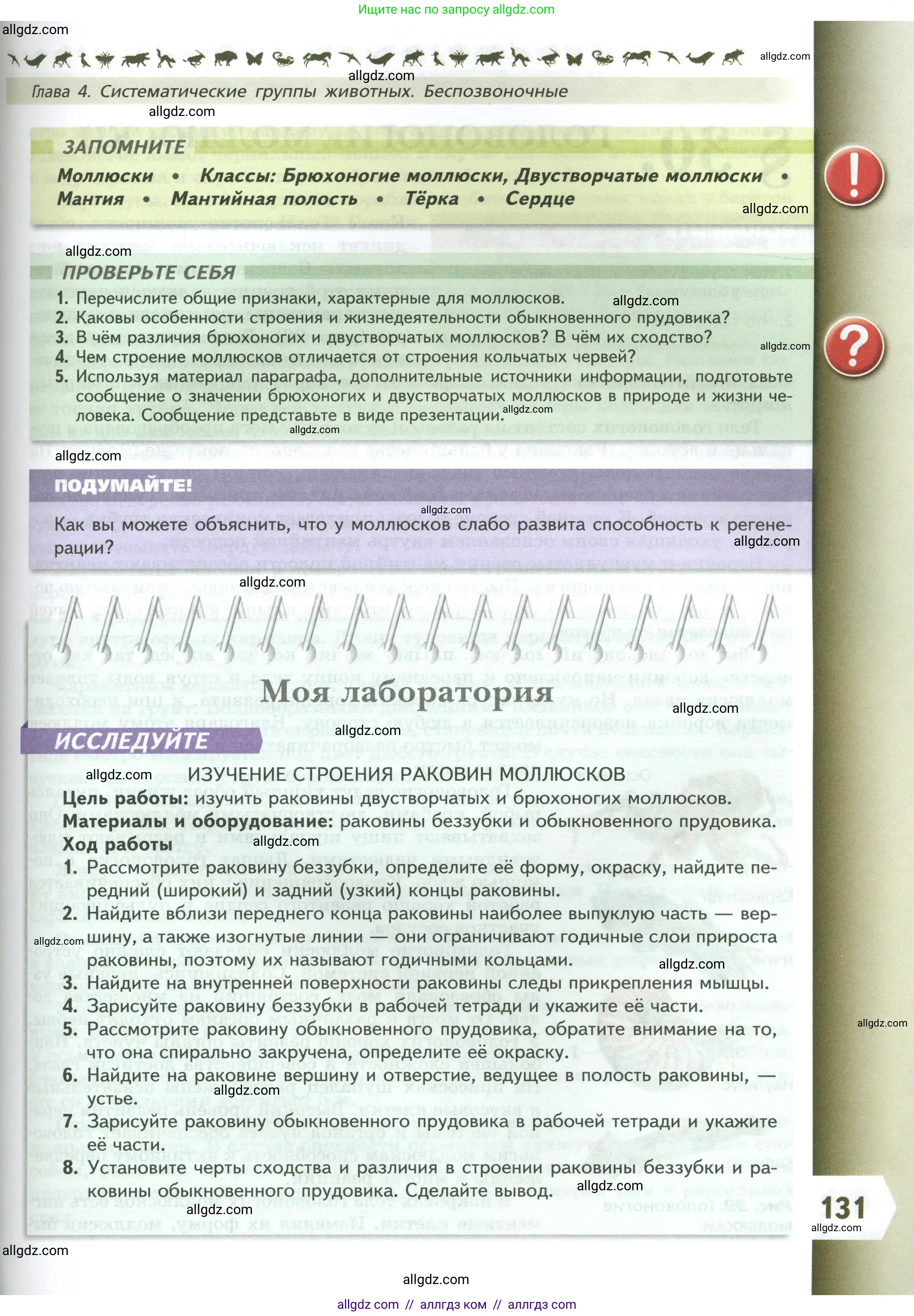 Биология, 8 класс Учебник, авторы: Пасечник Владимир Васильевич, Суматохин Сергей Витальевич, Гапонюк Зоя Георгиевна, издательство Просвещение, Москва, 2023, белого цвета, страница 131