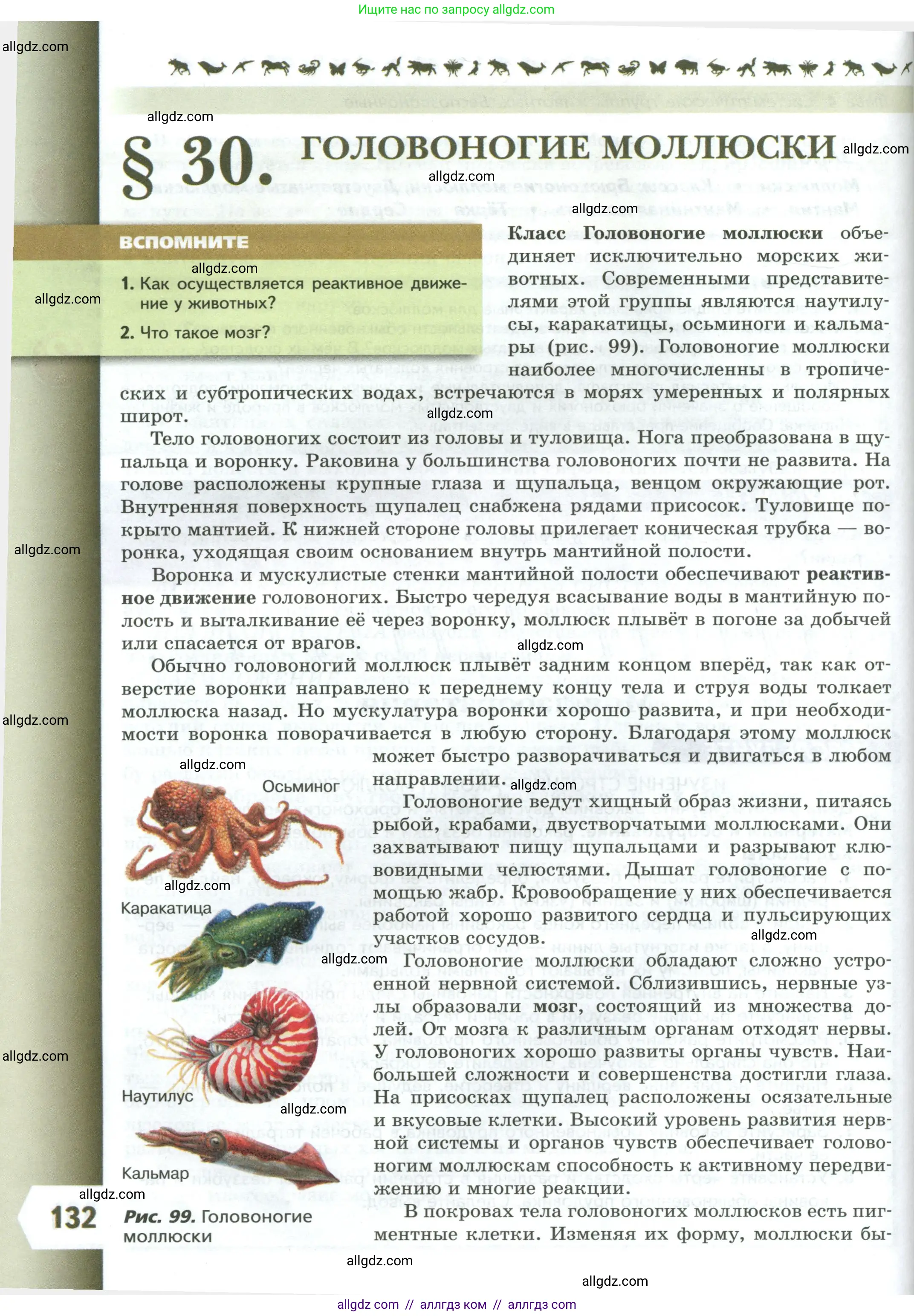 Биология, 8 класс Учебник, авторы: Пасечник Владимир Васильевич, Суматохин Сергей Витальевич, Гапонюк Зоя Георгиевна, издательство Просвещение, Москва, 2023, белого цвета, страница 132