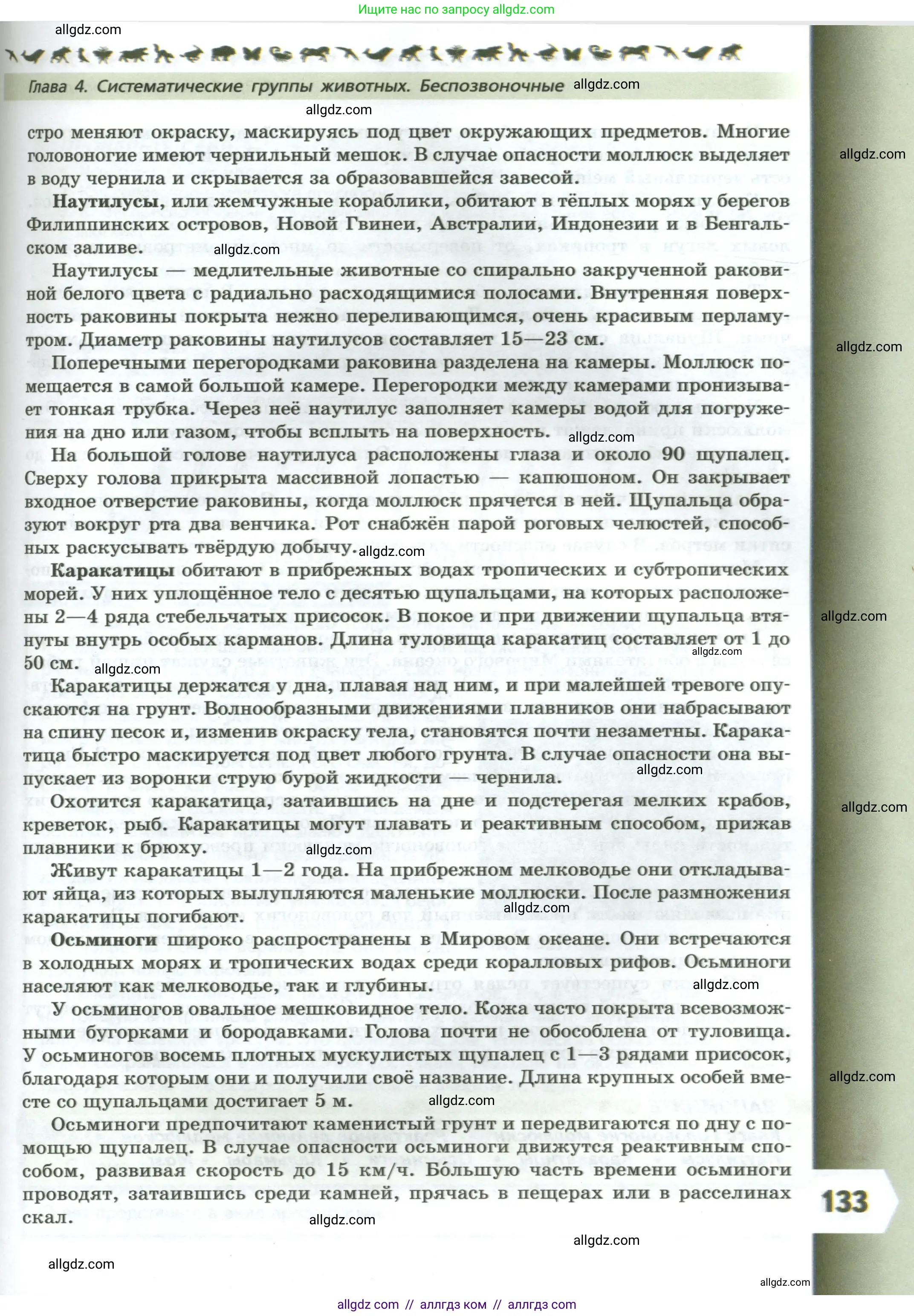 Биология, 8 класс Учебник, авторы: Пасечник Владимир Васильевич, Суматохин Сергей Витальевич, Гапонюк Зоя Георгиевна, издательство Просвещение, Москва, 2023, белого цвета, страница 133
