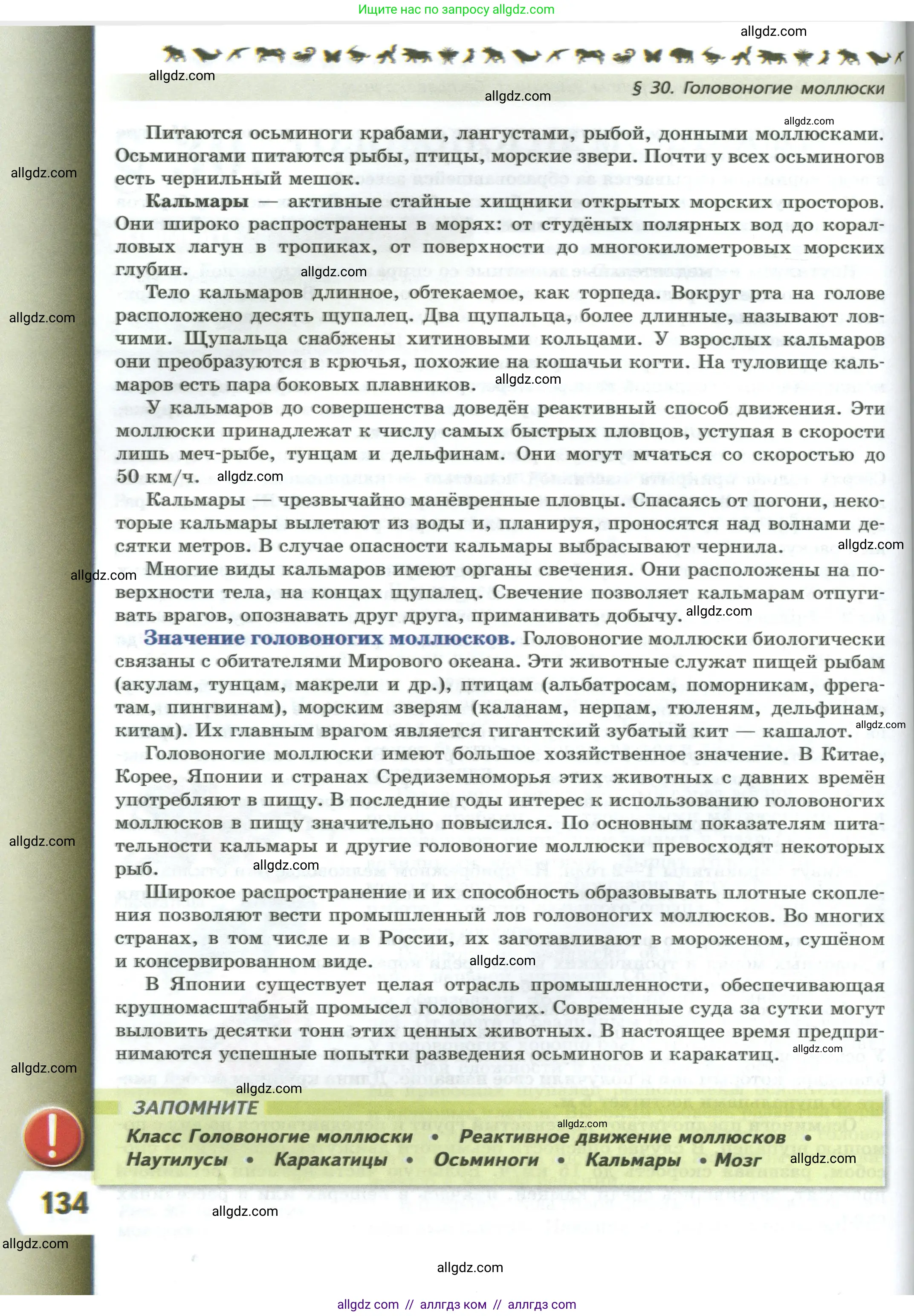 Биология, 8 класс Учебник, авторы: Пасечник Владимир Васильевич, Суматохин Сергей Витальевич, Гапонюк Зоя Георгиевна, издательство Просвещение, Москва, 2023, белого цвета, страница 134