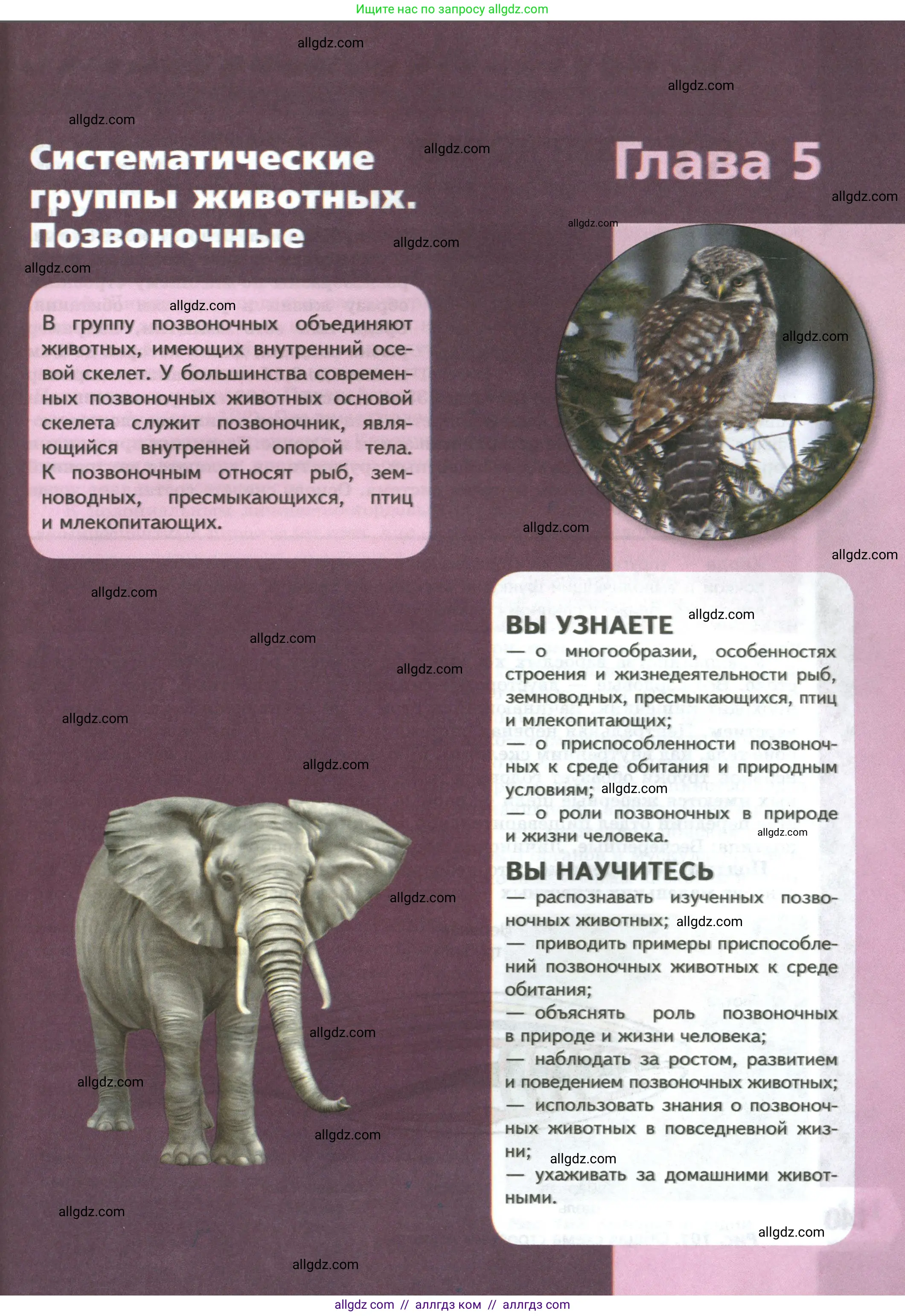 Биология, 8 класс Учебник, авторы: Пасечник Владимир Васильевич, Суматохин Сергей Витальевич, Гапонюк Зоя Георгиевна, издательство Просвещение, Москва, 2023, белого цвета, страница 139