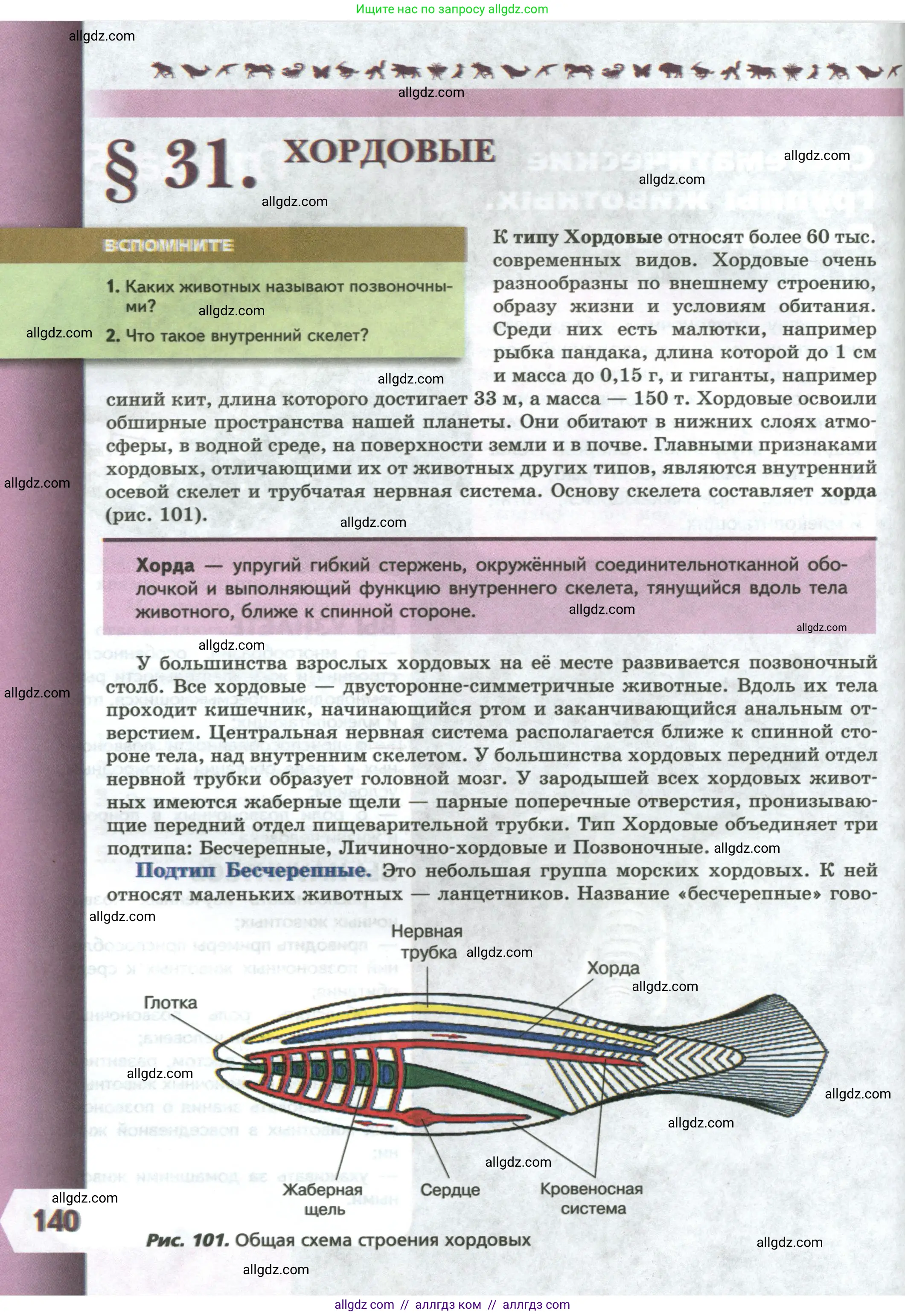Биология, 8 класс Учебник, авторы: Пасечник Владимир Васильевич, Суматохин Сергей Витальевич, Гапонюк Зоя Георгиевна, издательство Просвещение, Москва, 2023, белого цвета, страница 140