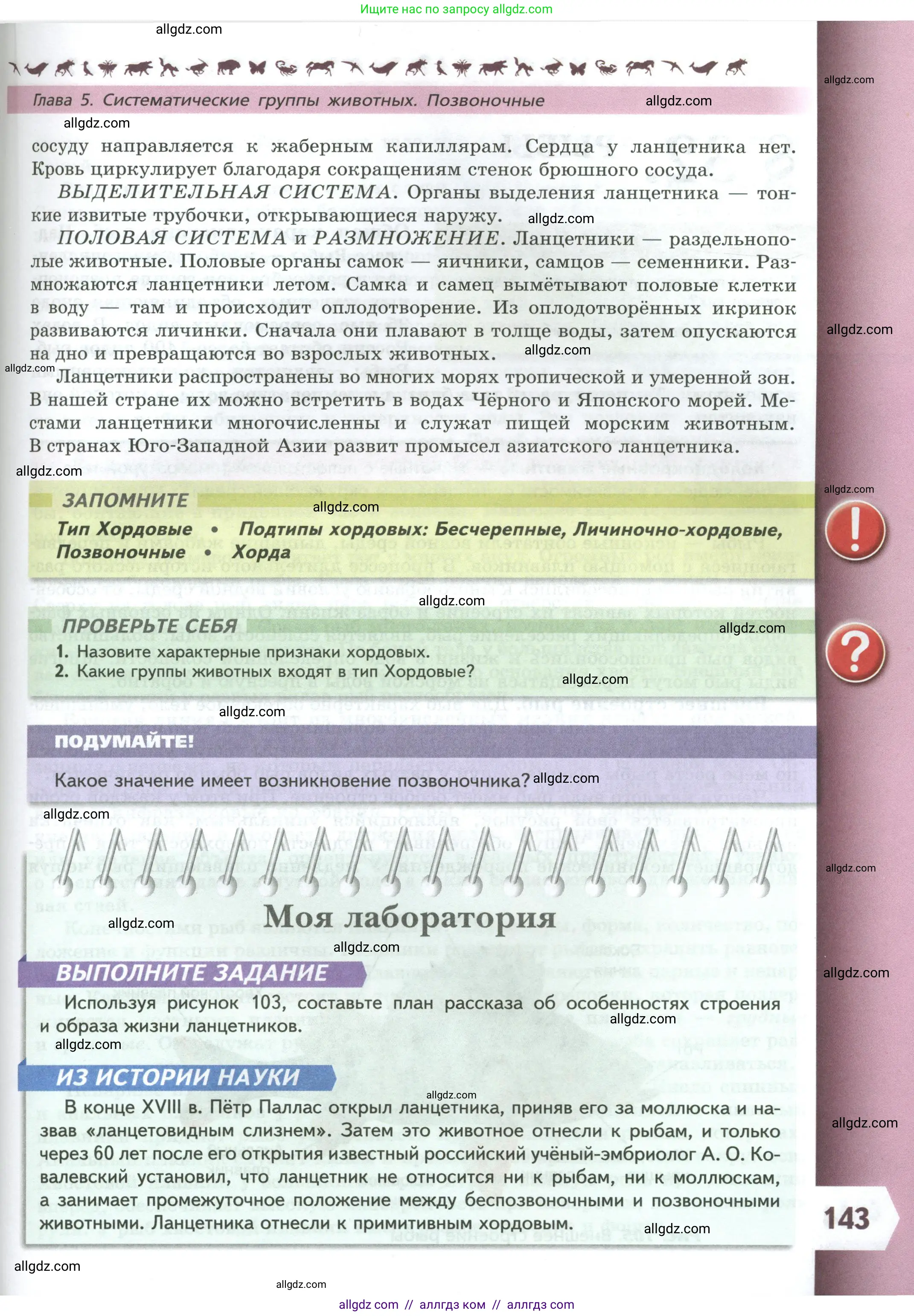 Биология, 8 класс Учебник, авторы: Пасечник Владимир Васильевич, Суматохин Сергей Витальевич, Гапонюк Зоя Георгиевна, издательство Просвещение, Москва, 2023, белого цвета, страница 143