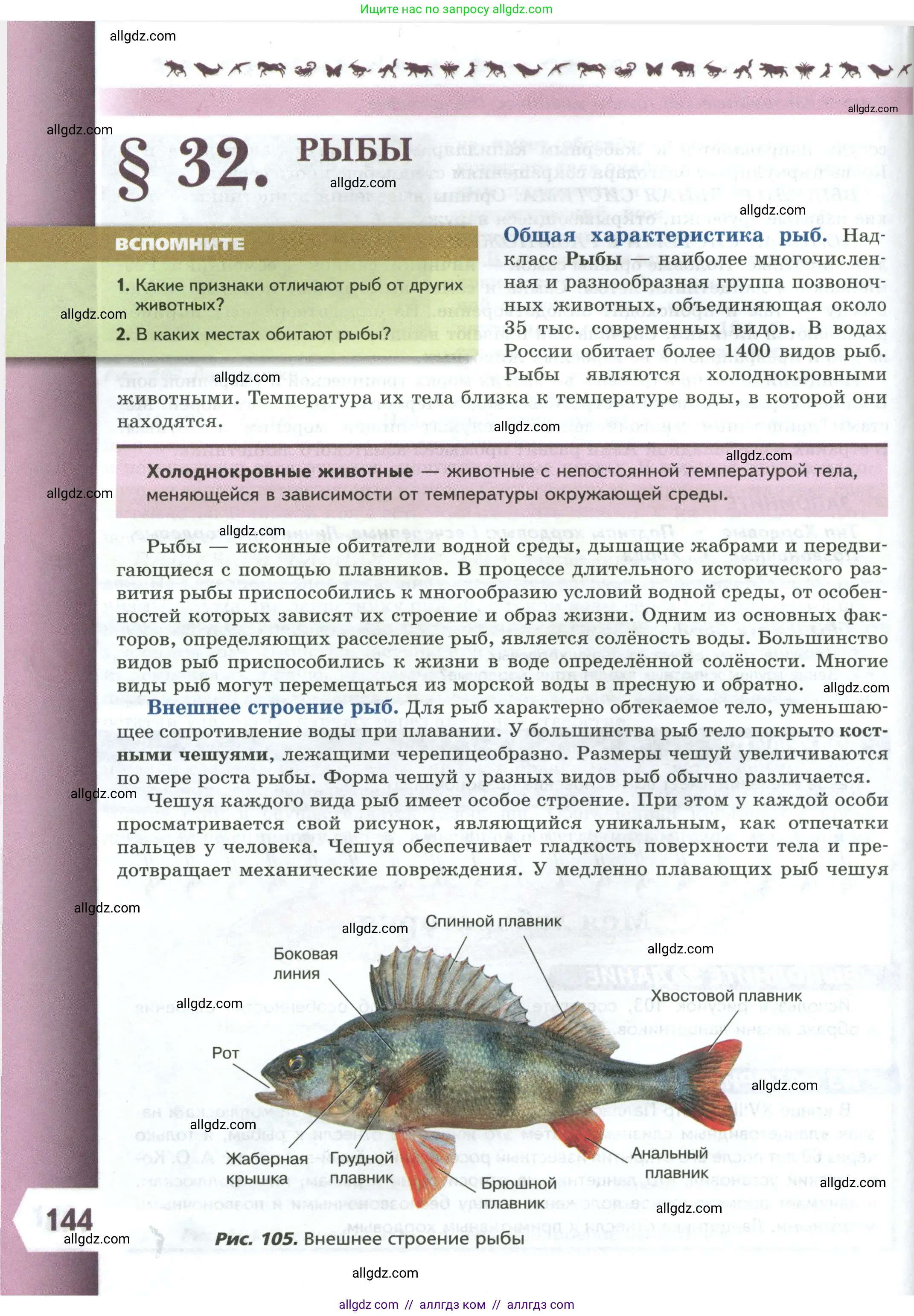 Биология, 8 класс Учебник, авторы: Пасечник Владимир Васильевич, Суматохин Сергей Витальевич, Гапонюк Зоя Георгиевна, издательство Просвещение, Москва, 2023, белого цвета, страница 144