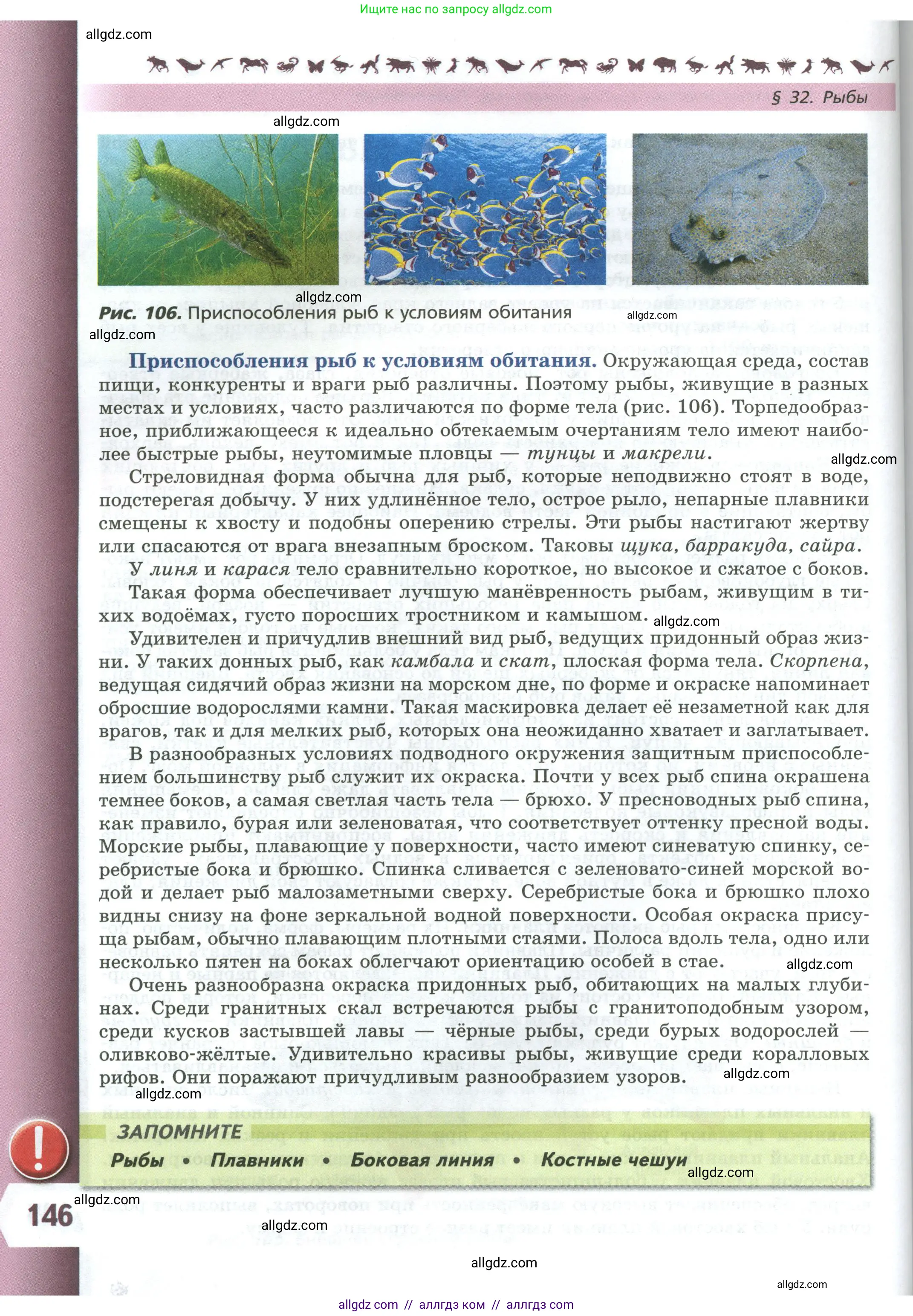 Биология, 8 класс Учебник, авторы: Пасечник Владимир Васильевич, Суматохин Сергей Витальевич, Гапонюк Зоя Георгиевна, издательство Просвещение, Москва, 2023, белого цвета, страница 146
