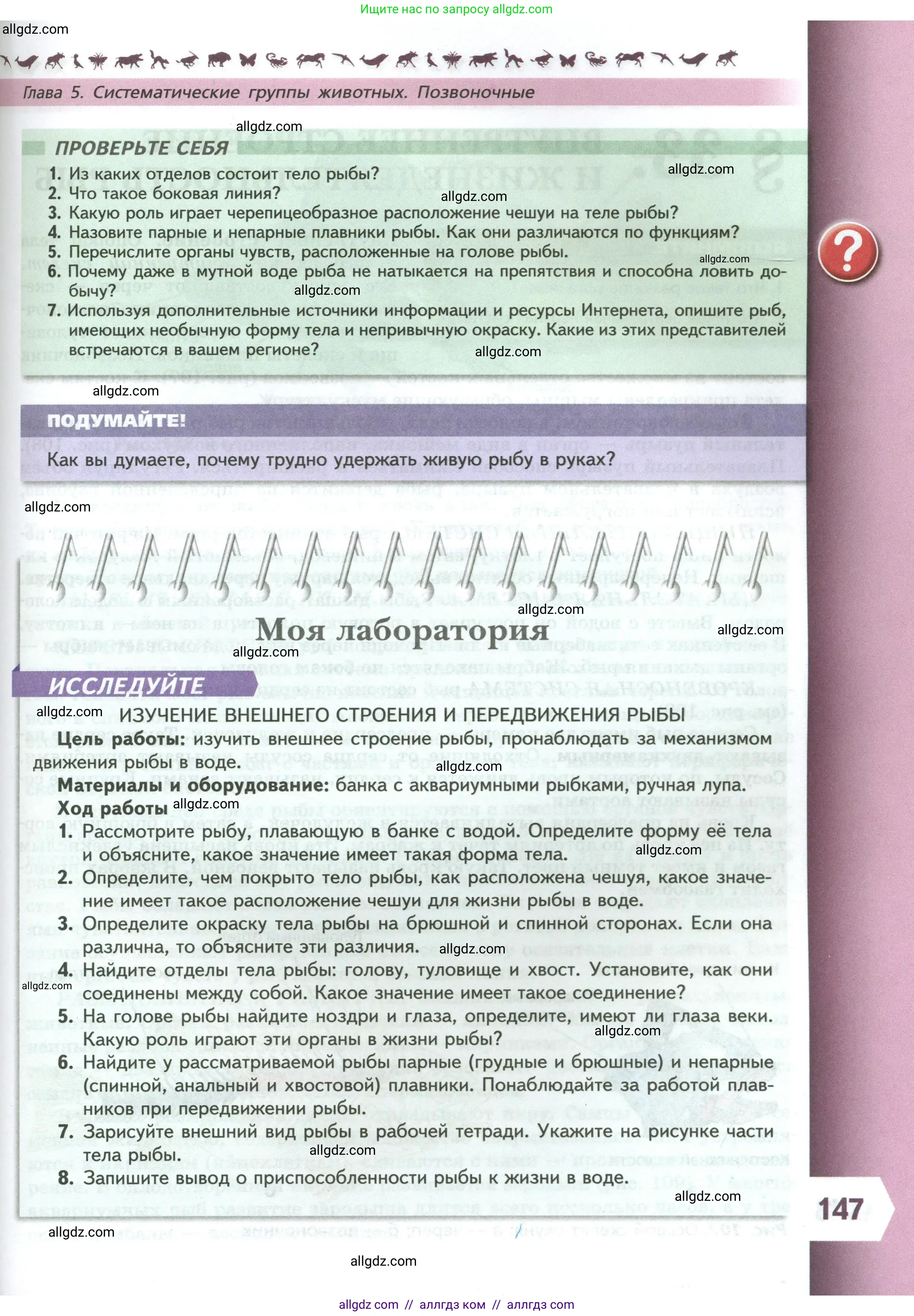 Биология, 8 класс Учебник, авторы: Пасечник Владимир Васильевич, Суматохин Сергей Витальевич, Гапонюк Зоя Георгиевна, издательство Просвещение, Москва, 2023, белого цвета, страница 147