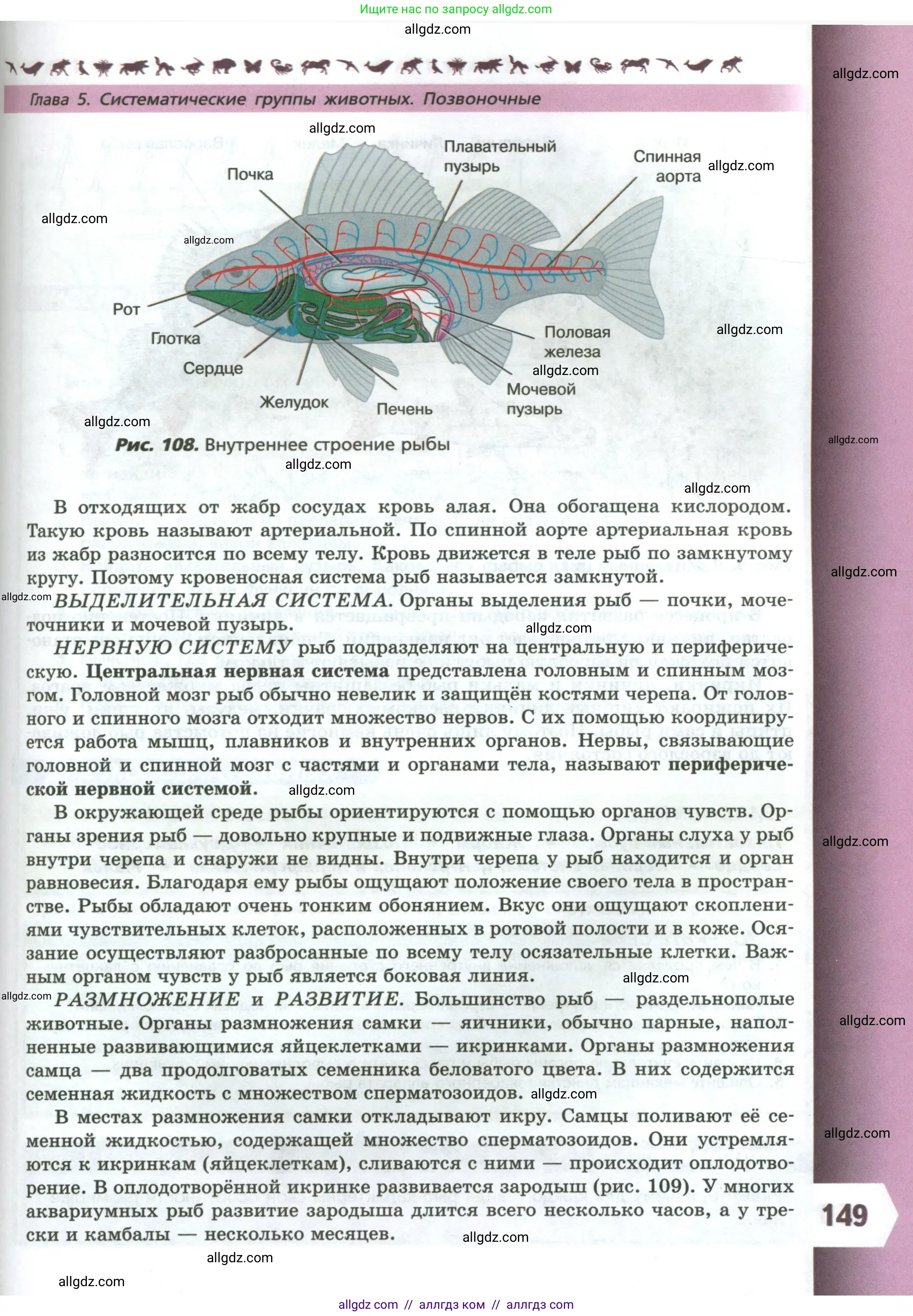 Биология, 8 класс Учебник, авторы: Пасечник Владимир Васильевич, Суматохин Сергей Витальевич, Гапонюк Зоя Георгиевна, издательство Просвещение, Москва, 2023, белого цвета, страница 149