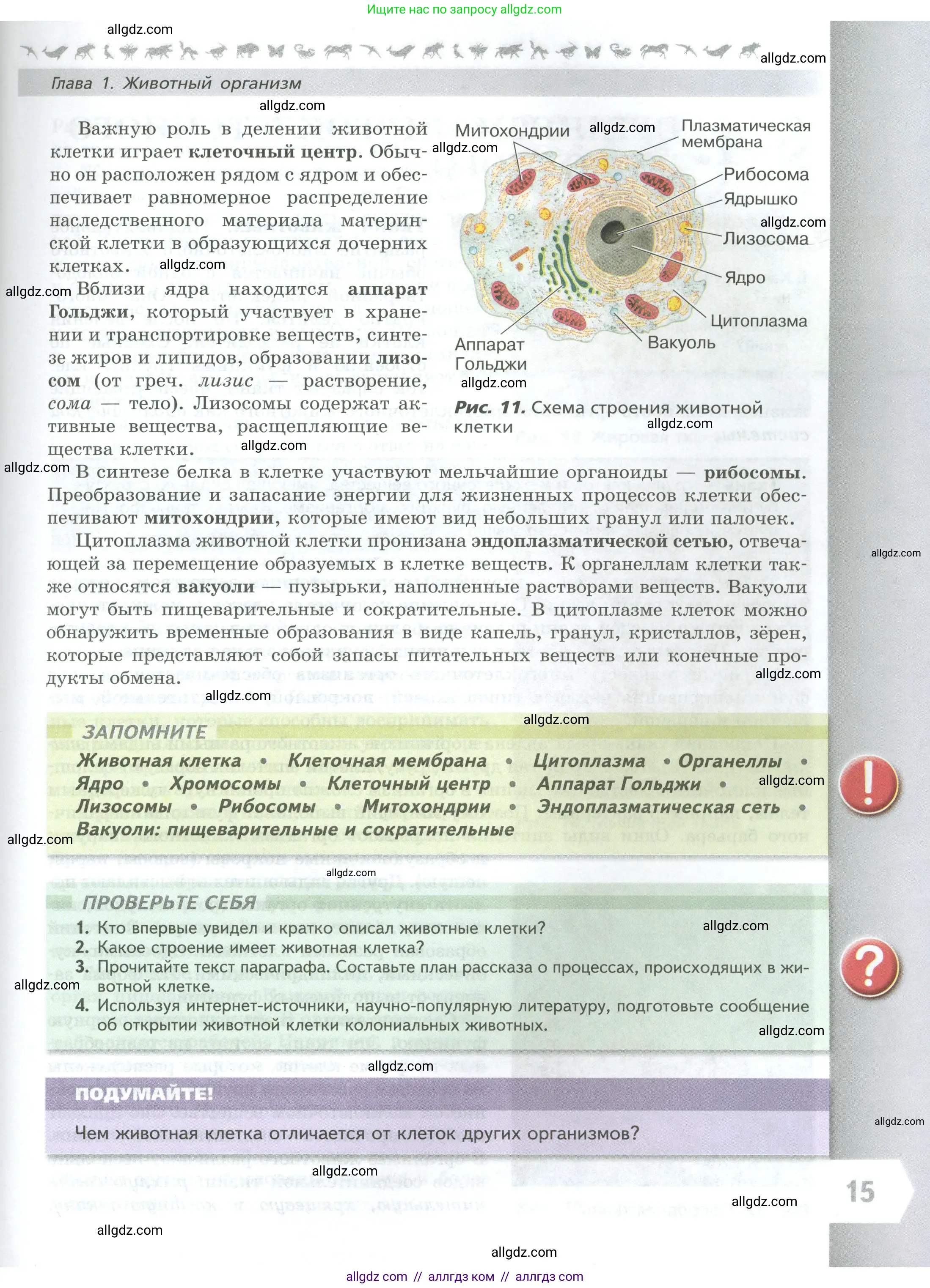 Биология, 8 класс Учебник, авторы: Пасечник Владимир Васильевич, Суматохин Сергей Витальевич, Гапонюк Зоя Георгиевна, издательство Просвещение, Москва, 2023, белого цвета, страница 15