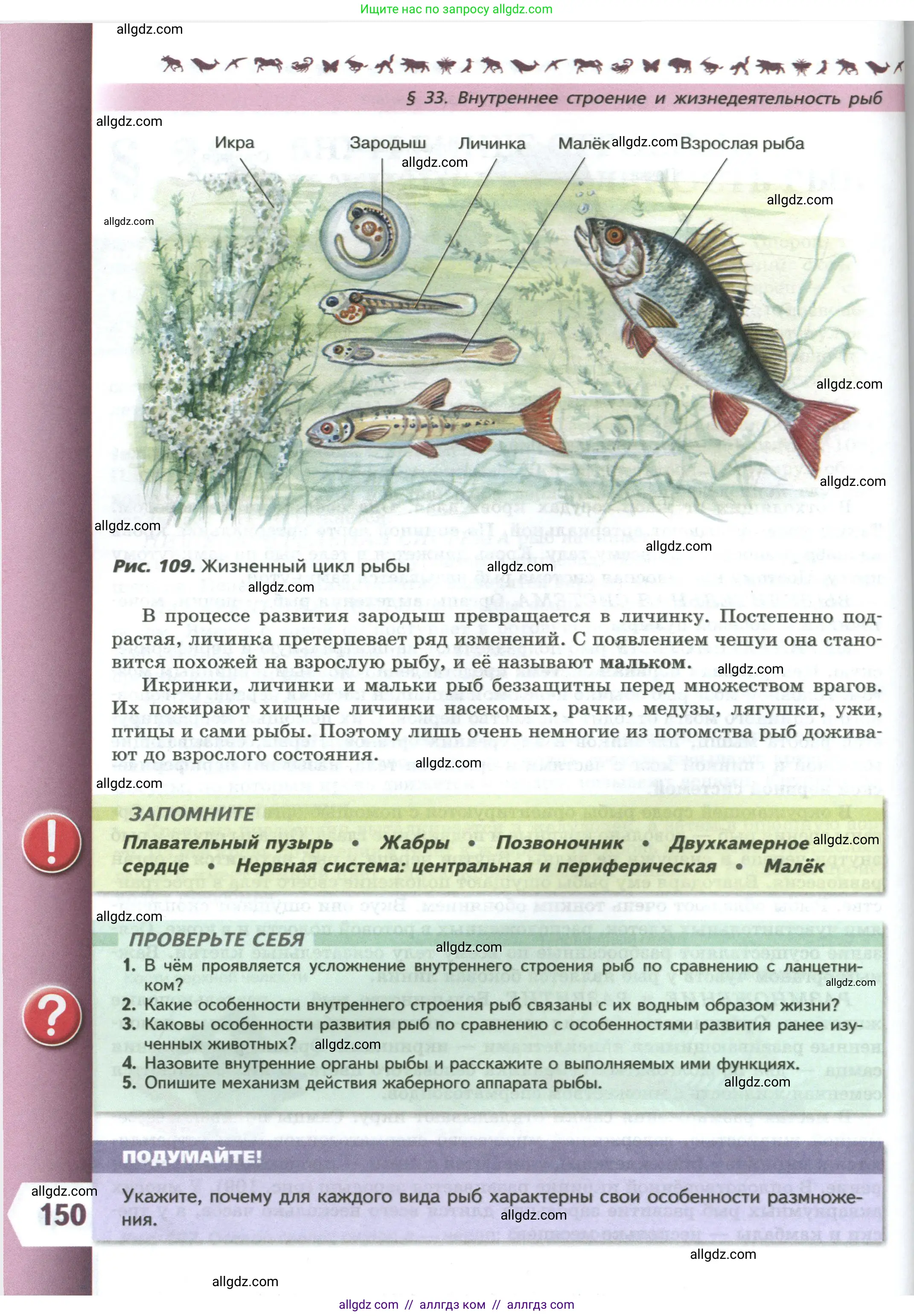 Биология, 8 класс Учебник, авторы: Пасечник Владимир Васильевич, Суматохин Сергей Витальевич, Гапонюк Зоя Георгиевна, издательство Просвещение, Москва, 2023, белого цвета, страница 150