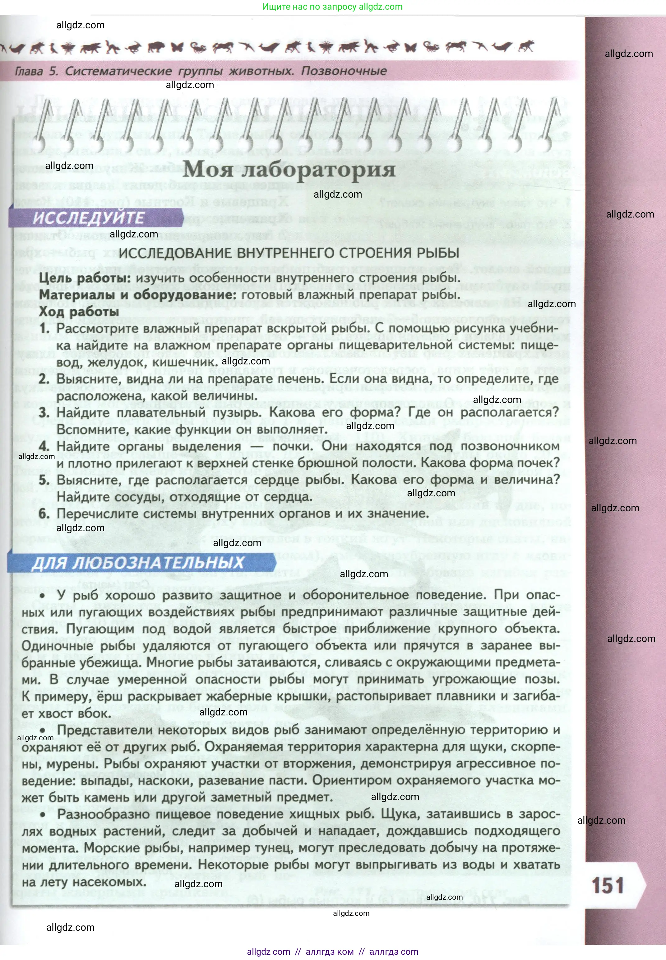Биология, 8 класс Учебник, авторы: Пасечник Владимир Васильевич, Суматохин Сергей Витальевич, Гапонюк Зоя Георгиевна, издательство Просвещение, Москва, 2023, белого цвета, страница 151