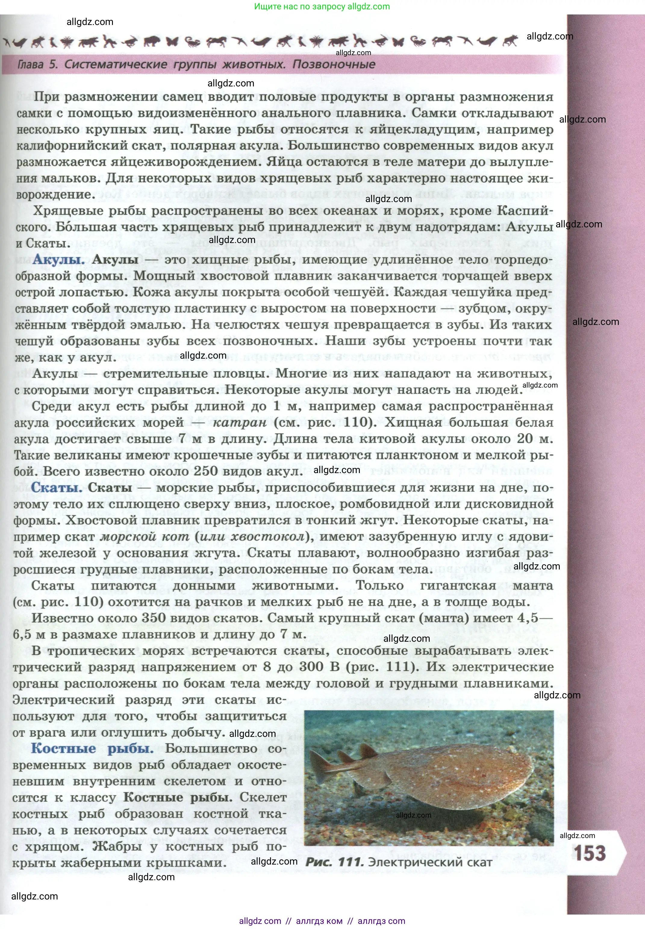 Биология, 8 класс Учебник, авторы: Пасечник Владимир Васильевич, Суматохин Сергей Витальевич, Гапонюк Зоя Георгиевна, издательство Просвещение, Москва, 2023, белого цвета, страница 153