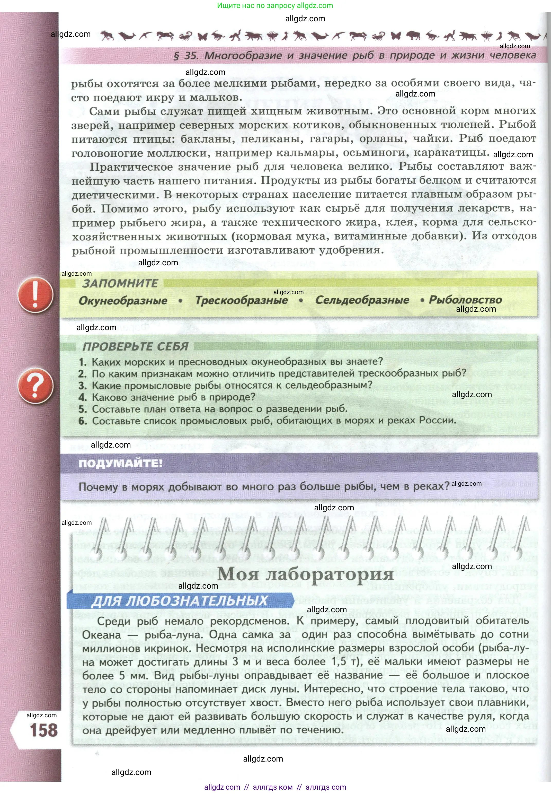 Биология, 8 класс Учебник, авторы: Пасечник Владимир Васильевич, Суматохин Сергей Витальевич, Гапонюк Зоя Георгиевна, издательство Просвещение, Москва, 2023, белого цвета, страница 158