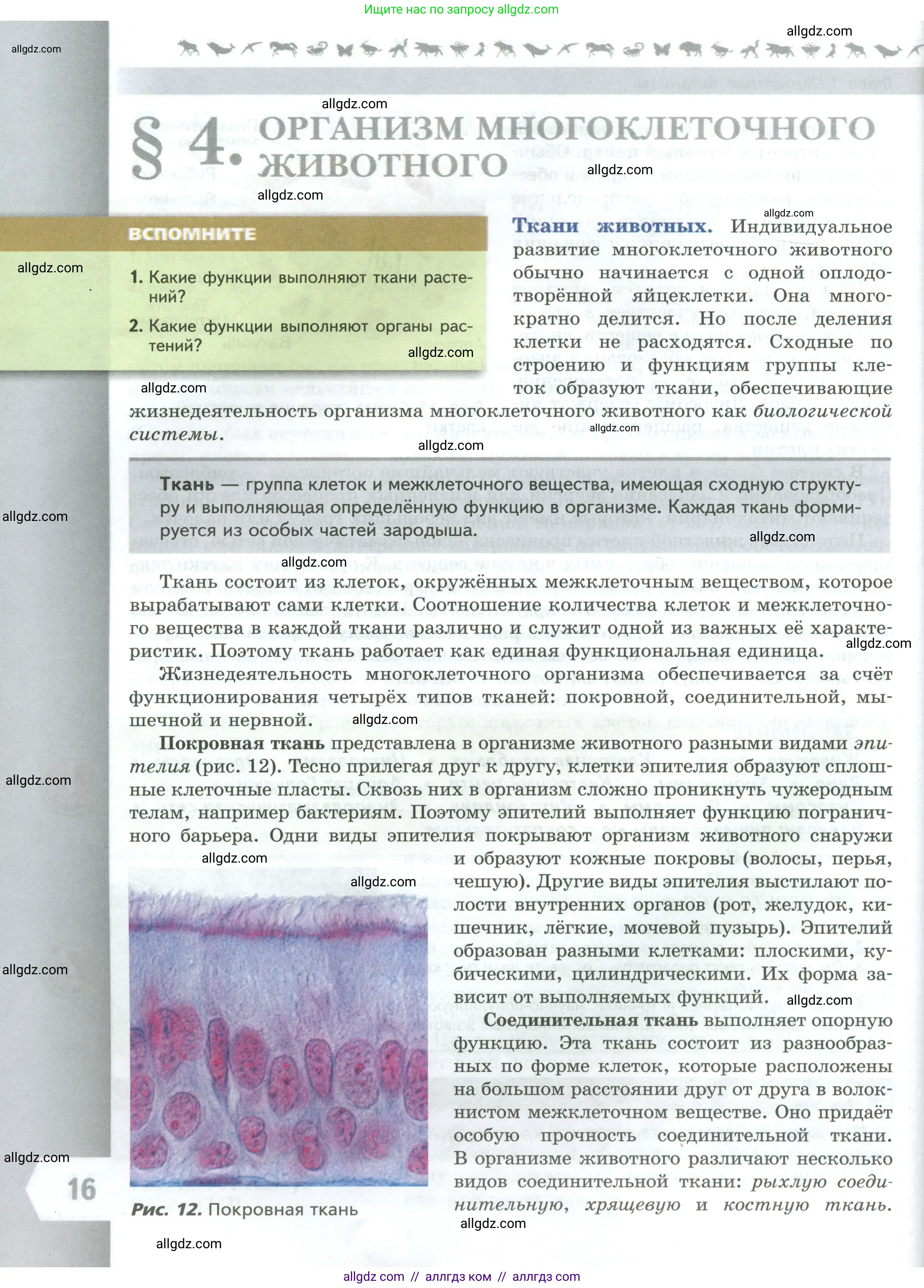 Биология, 8 класс Учебник, авторы: Пасечник Владимир Васильевич, Суматохин Сергей Витальевич, Гапонюк Зоя Георгиевна, издательство Просвещение, Москва, 2023, белого цвета, страница 16