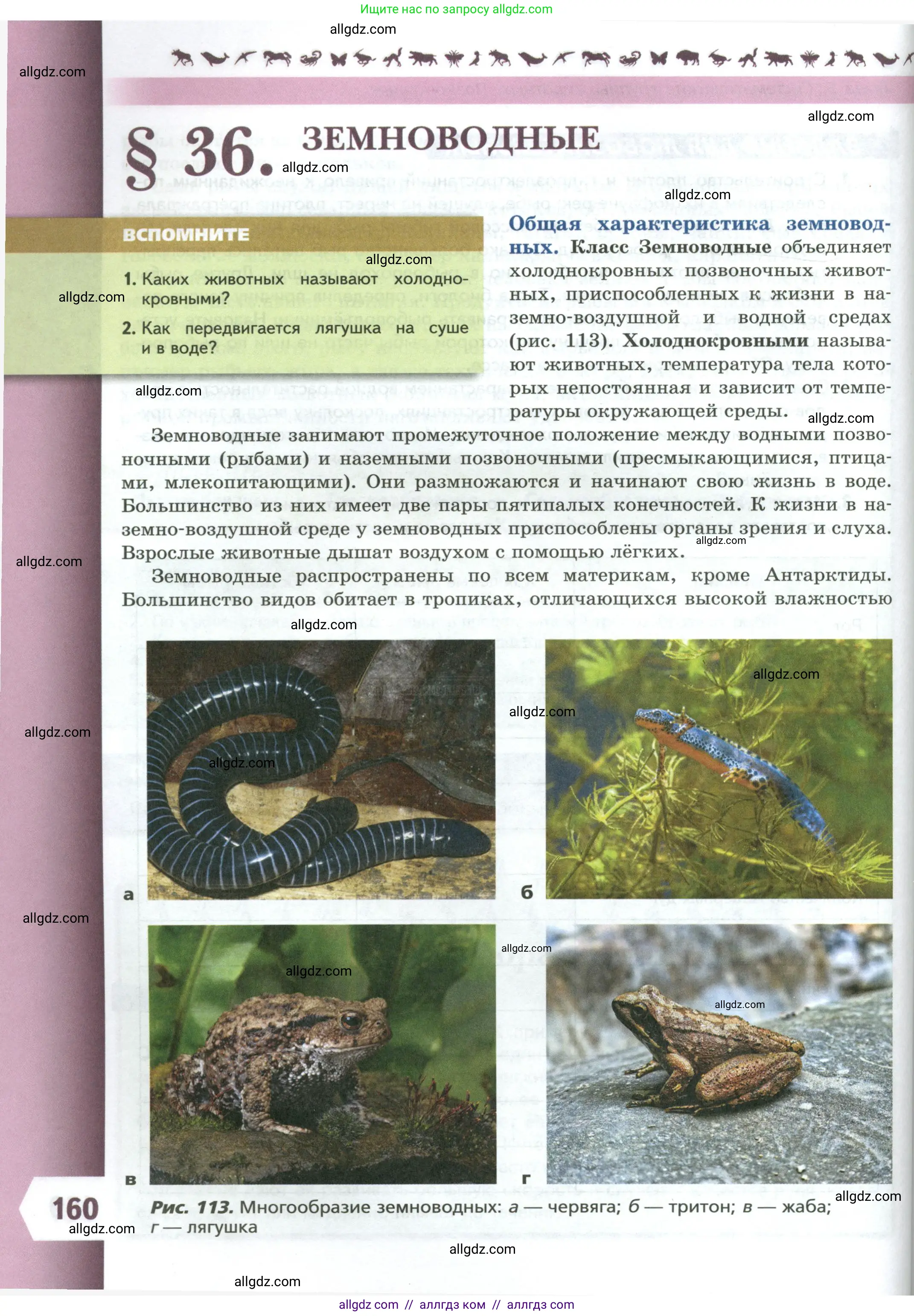 Биология, 8 класс Учебник, авторы: Пасечник Владимир Васильевич, Суматохин Сергей Витальевич, Гапонюк Зоя Георгиевна, издательство Просвещение, Москва, 2023, белого цвета, страница 160