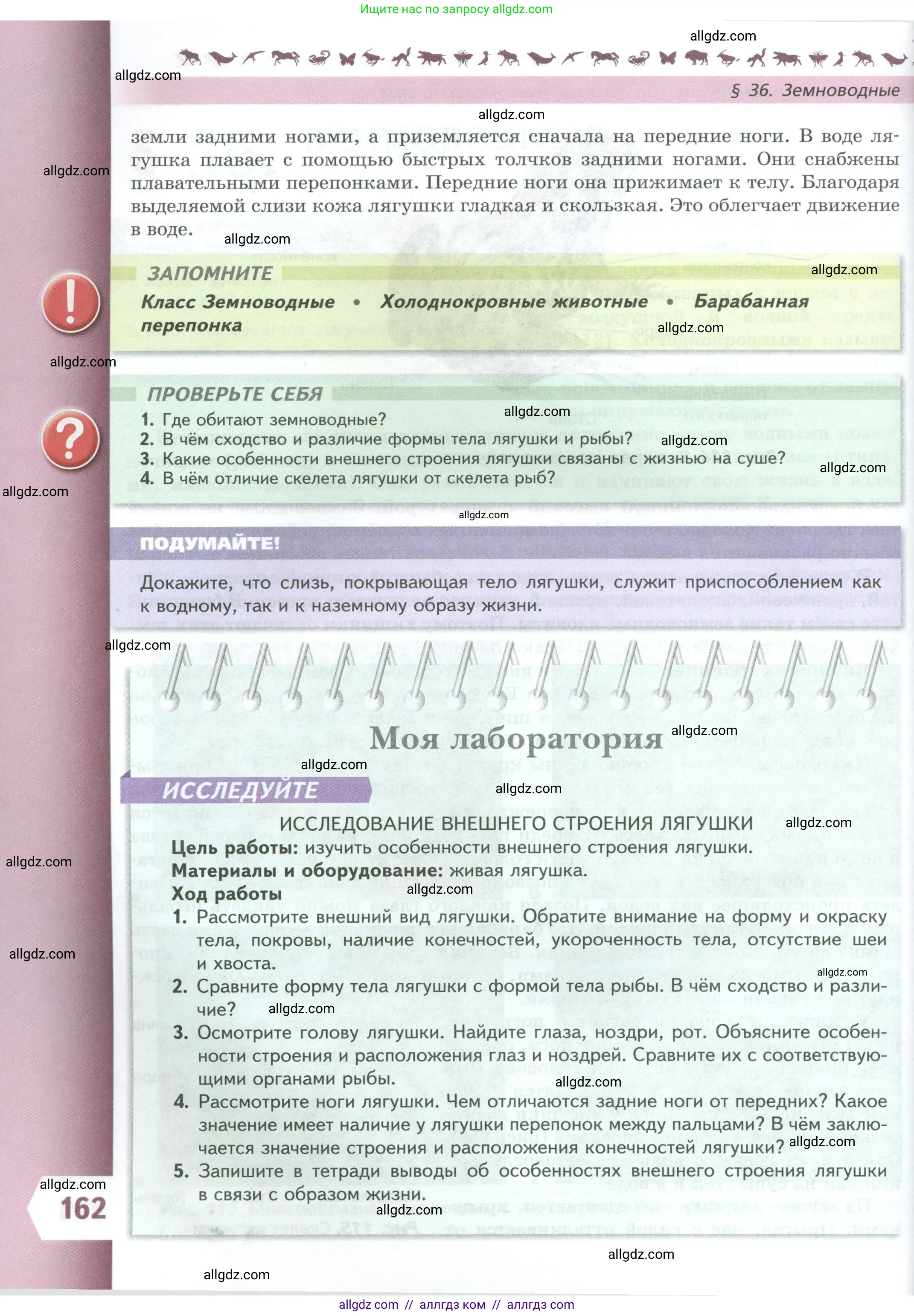 Биология, 8 класс Учебник, авторы: Пасечник Владимир Васильевич, Суматохин Сергей Витальевич, Гапонюк Зоя Георгиевна, издательство Просвещение, Москва, 2023, белого цвета, страница 162