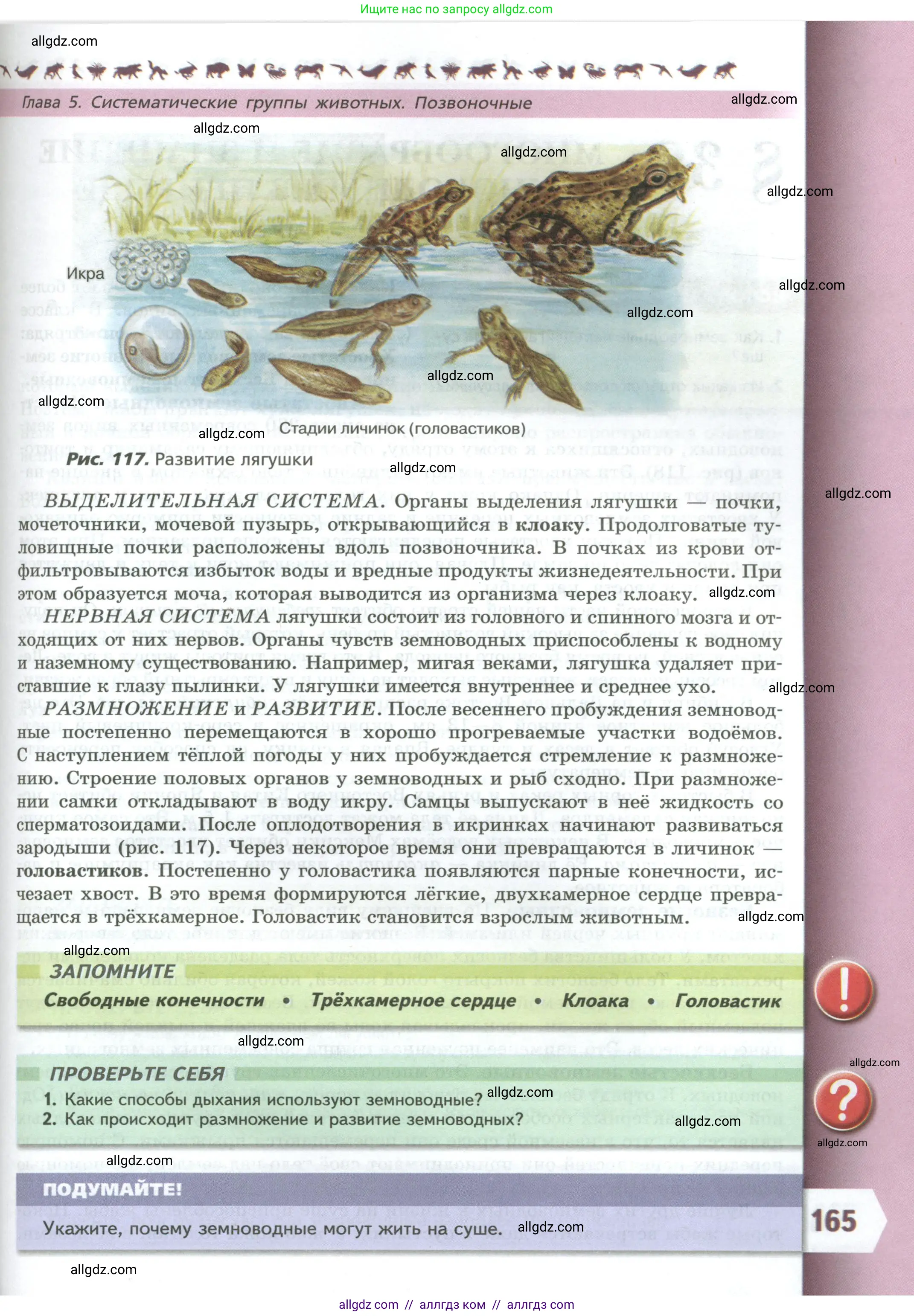 Биология, 8 класс Учебник, авторы: Пасечник Владимир Васильевич, Суматохин Сергей Витальевич, Гапонюк Зоя Георгиевна, издательство Просвещение, Москва, 2023, белого цвета, страница 165
