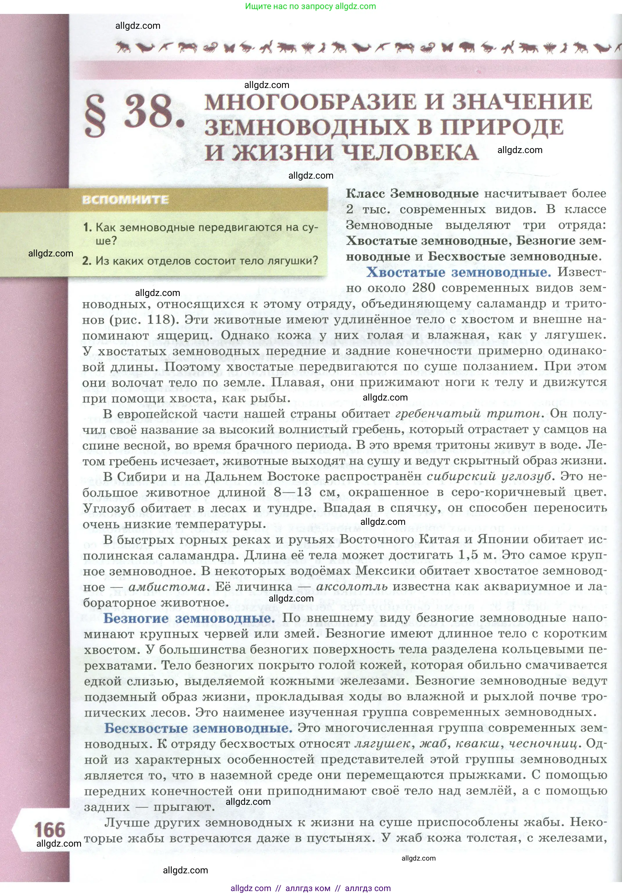 Биология, 8 класс Учебник, авторы: Пасечник Владимир Васильевич, Суматохин Сергей Витальевич, Гапонюк Зоя Георгиевна, издательство Просвещение, Москва, 2023, белого цвета, страница 166