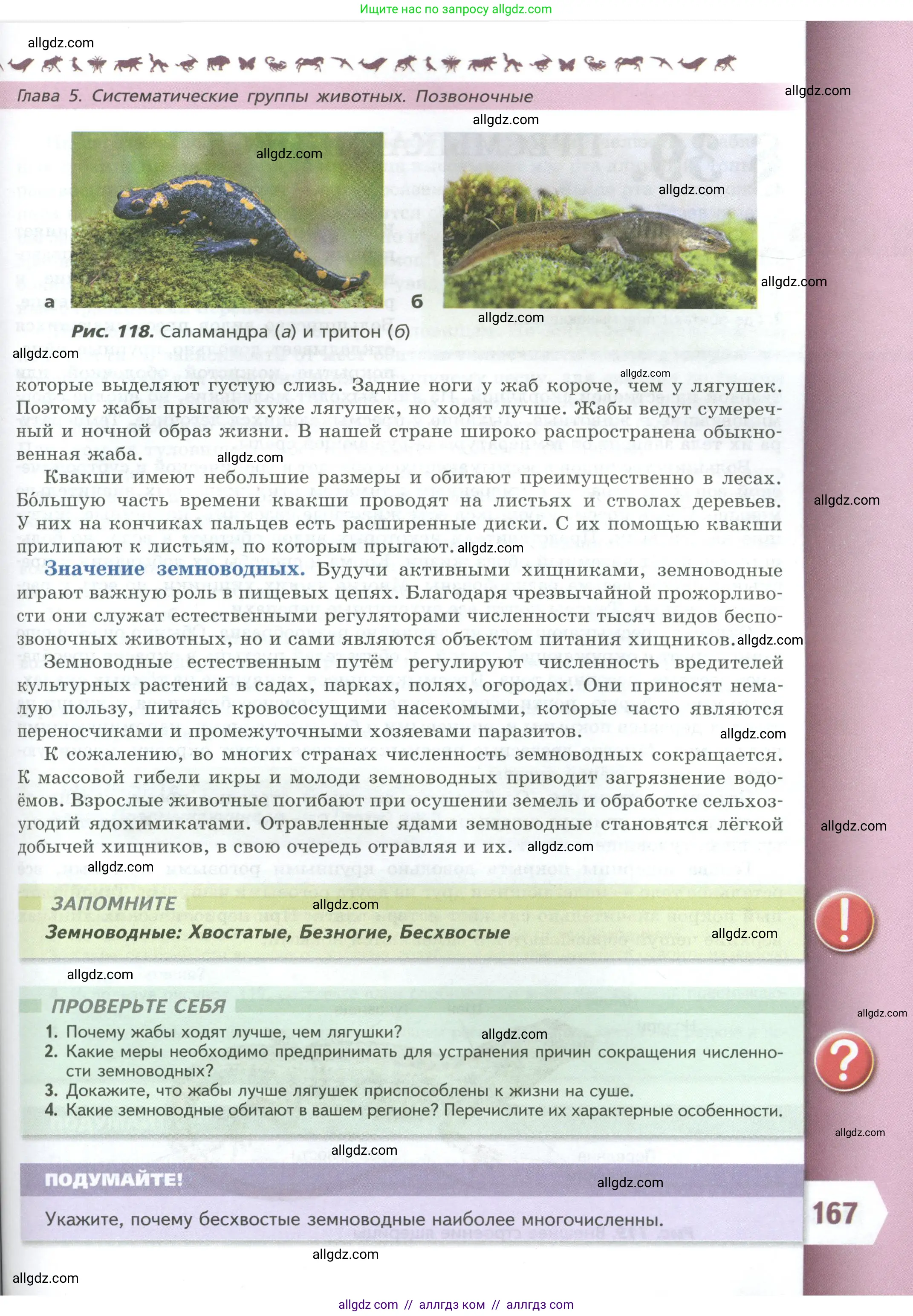 Биология, 8 класс Учебник, авторы: Пасечник Владимир Васильевич, Суматохин Сергей Витальевич, Гапонюк Зоя Георгиевна, издательство Просвещение, Москва, 2023, белого цвета, страница 167