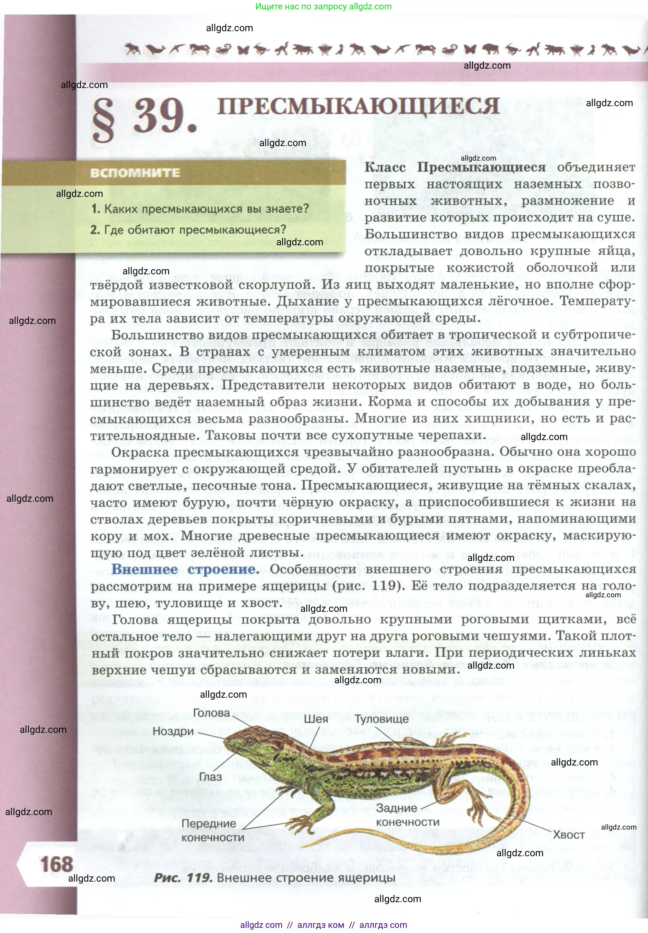 Биология, 8 класс Учебник, авторы: Пасечник Владимир Васильевич, Суматохин Сергей Витальевич, Гапонюк Зоя Георгиевна, издательство Просвещение, Москва, 2023, белого цвета, страница 168