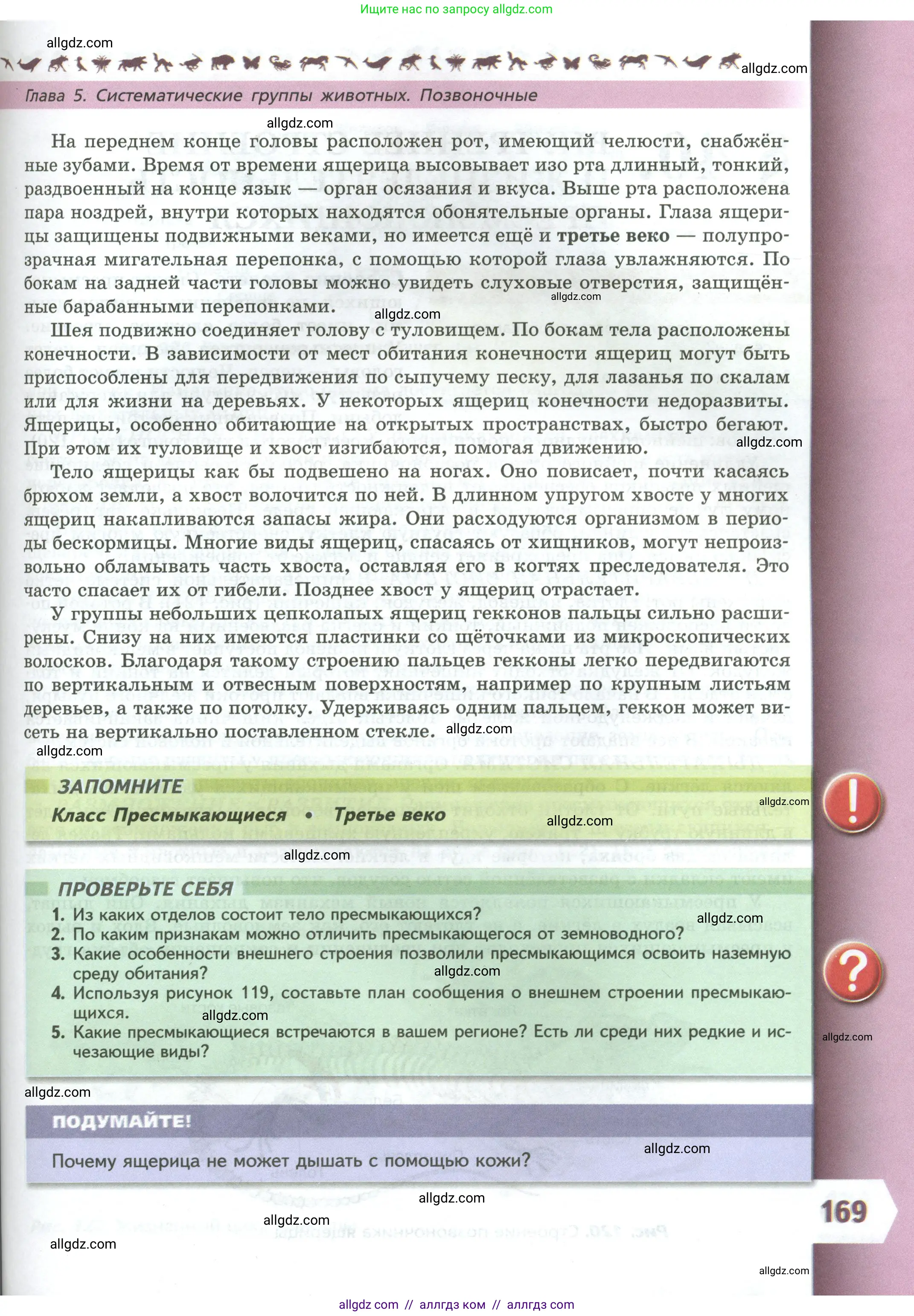Биология, 8 класс Учебник, авторы: Пасечник Владимир Васильевич, Суматохин Сергей Витальевич, Гапонюк Зоя Георгиевна, издательство Просвещение, Москва, 2023, белого цвета, страница 169