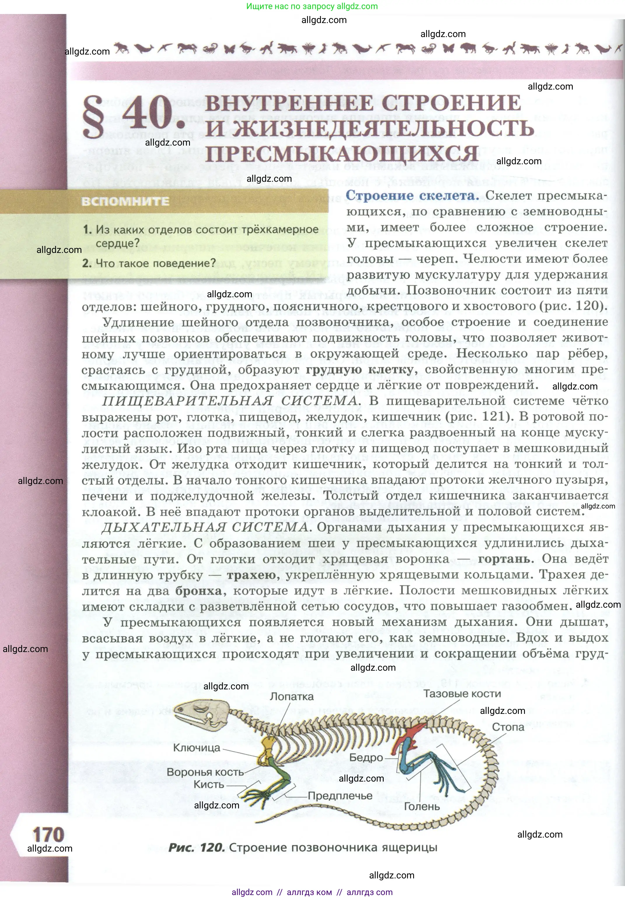 Биология, 8 класс Учебник, авторы: Пасечник Владимир Васильевич, Суматохин Сергей Витальевич, Гапонюк Зоя Георгиевна, издательство Просвещение, Москва, 2023, белого цвета, страница 170
