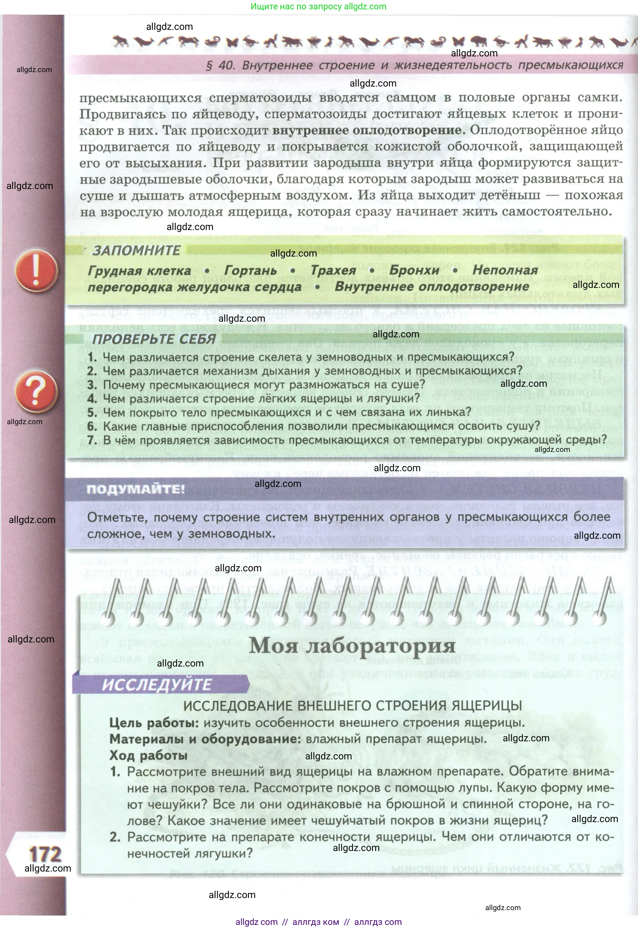 Биология, 8 класс Учебник, авторы: Пасечник Владимир Васильевич, Суматохин Сергей Витальевич, Гапонюк Зоя Георгиевна, издательство Просвещение, Москва, 2023, белого цвета, страница 172