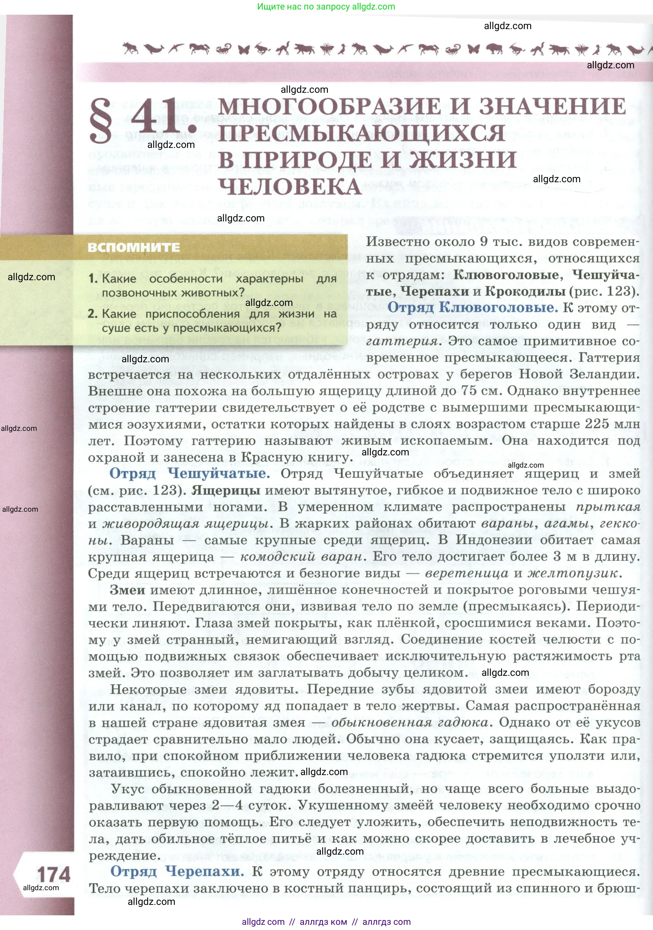 Биология, 8 класс Учебник, авторы: Пасечник Владимир Васильевич, Суматохин Сергей Витальевич, Гапонюк Зоя Георгиевна, издательство Просвещение, Москва, 2023, белого цвета, страница 174