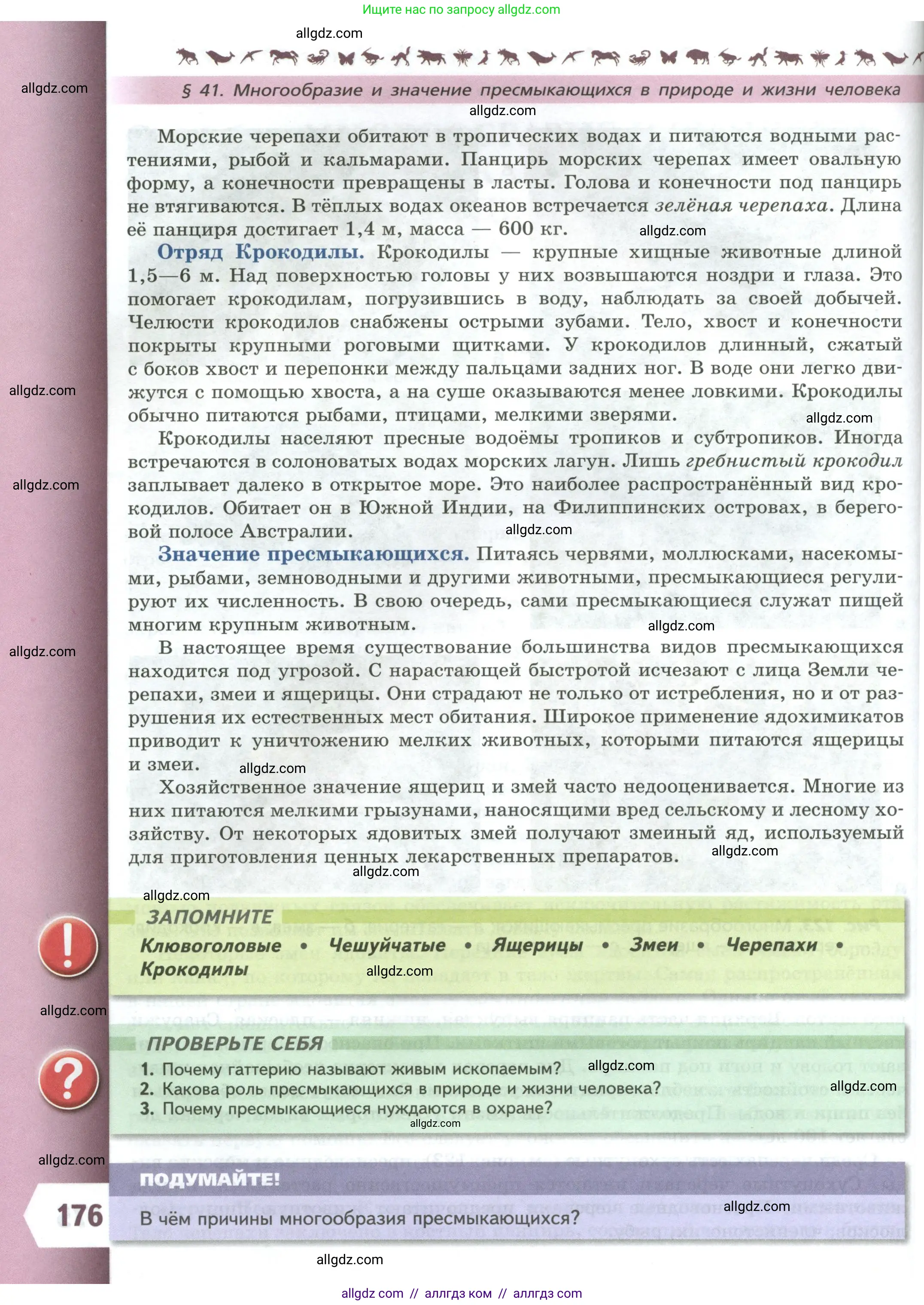 Биология, 8 класс Учебник, авторы: Пасечник Владимир Васильевич, Суматохин Сергей Витальевич, Гапонюк Зоя Георгиевна, издательство Просвещение, Москва, 2023, белого цвета, страница 176