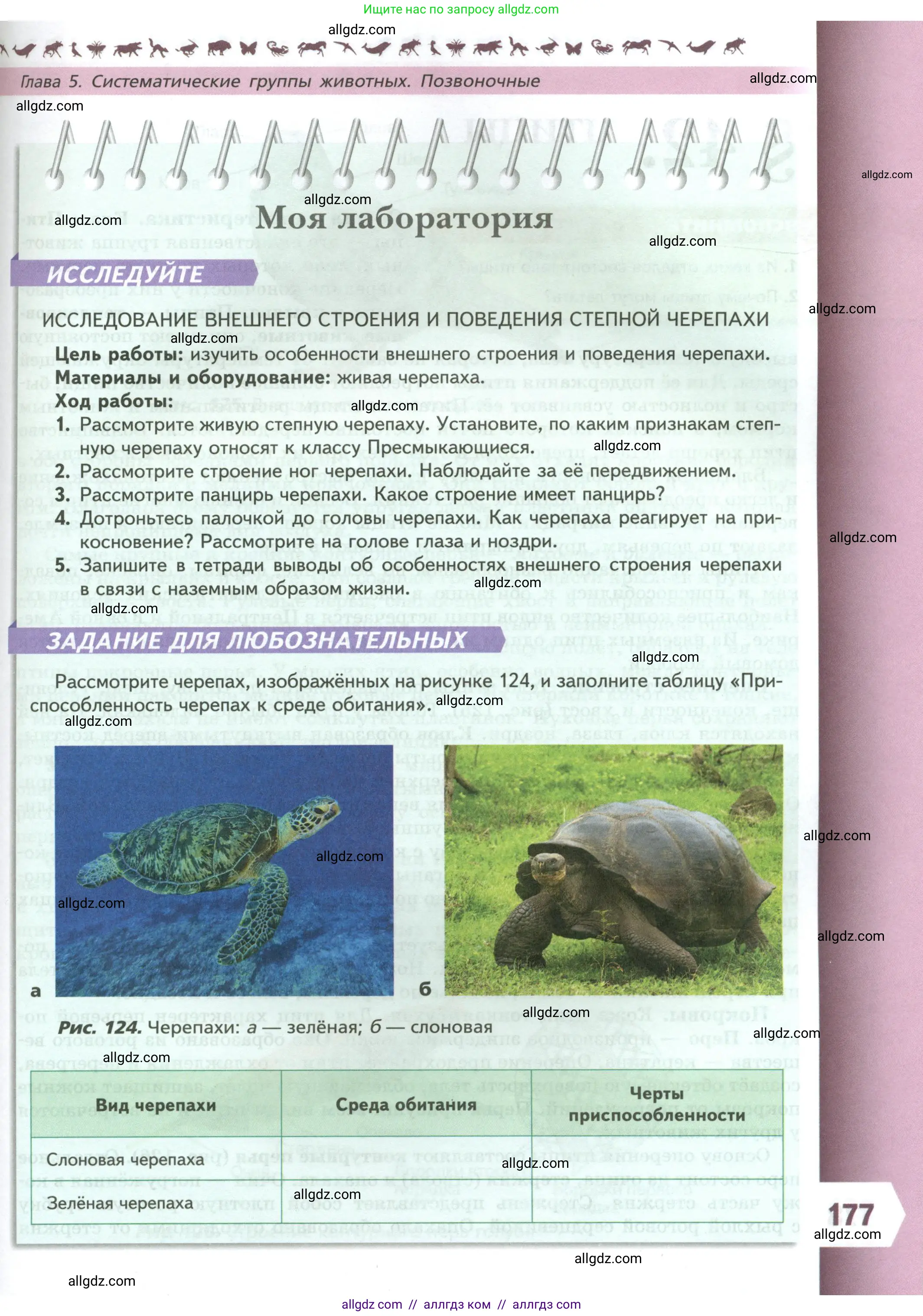 Биология, 8 класс Учебник, авторы: Пасечник Владимир Васильевич, Суматохин Сергей Витальевич, Гапонюк Зоя Георгиевна, издательство Просвещение, Москва, 2023, белого цвета, страница 177