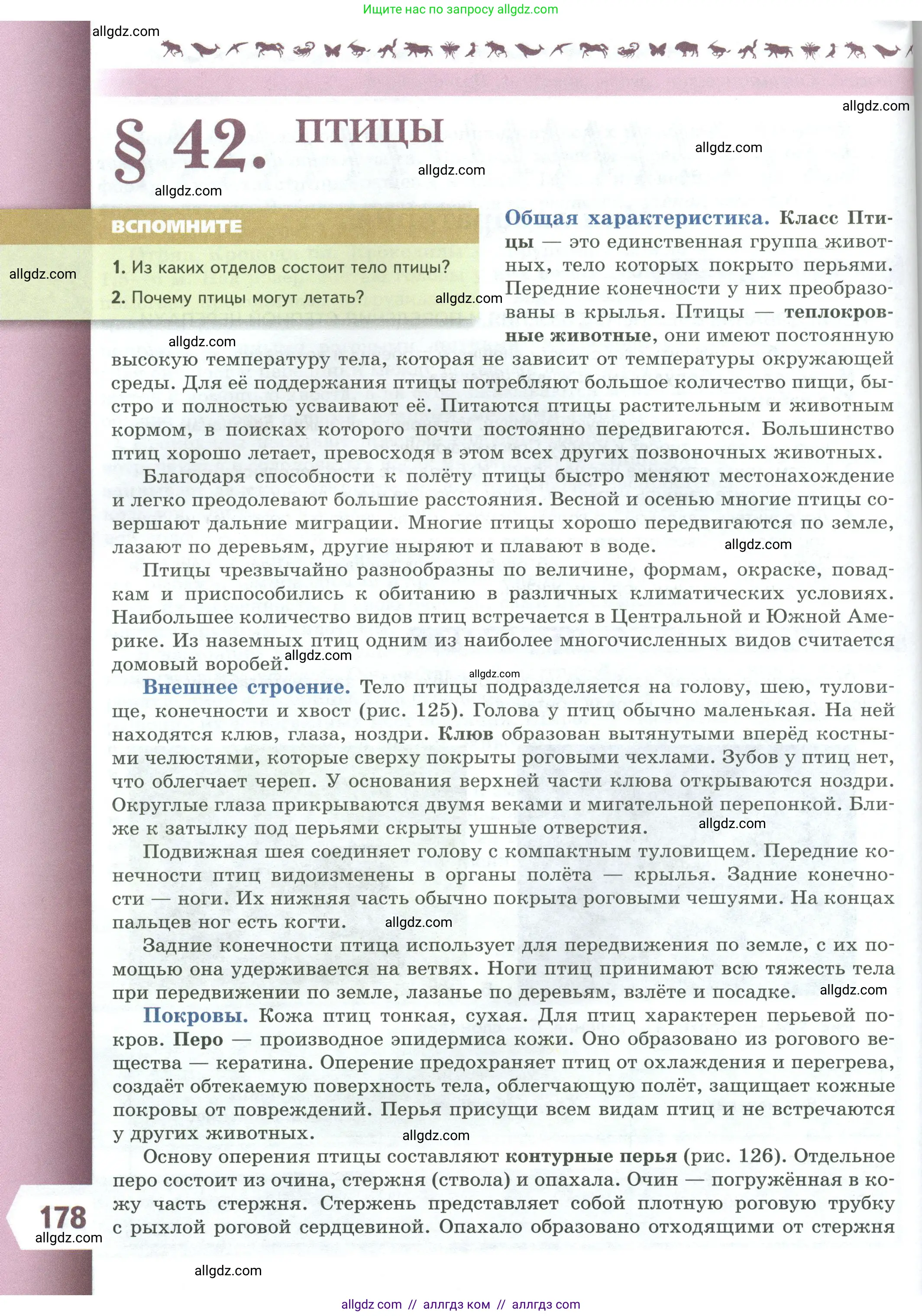 Биология, 8 класс Учебник, авторы: Пасечник Владимир Васильевич, Суматохин Сергей Витальевич, Гапонюк Зоя Георгиевна, издательство Просвещение, Москва, 2023, белого цвета, страница 178