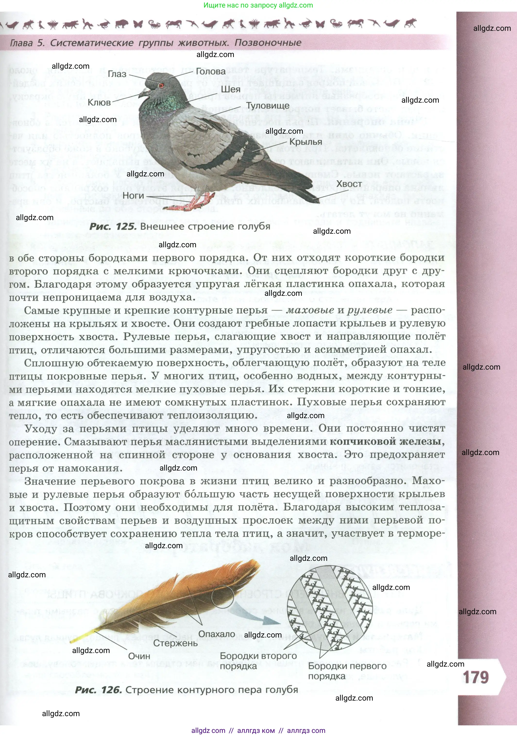 Биология, 8 класс Учебник, авторы: Пасечник Владимир Васильевич, Суматохин Сергей Витальевич, Гапонюк Зоя Георгиевна, издательство Просвещение, Москва, 2023, белого цвета, страница 179